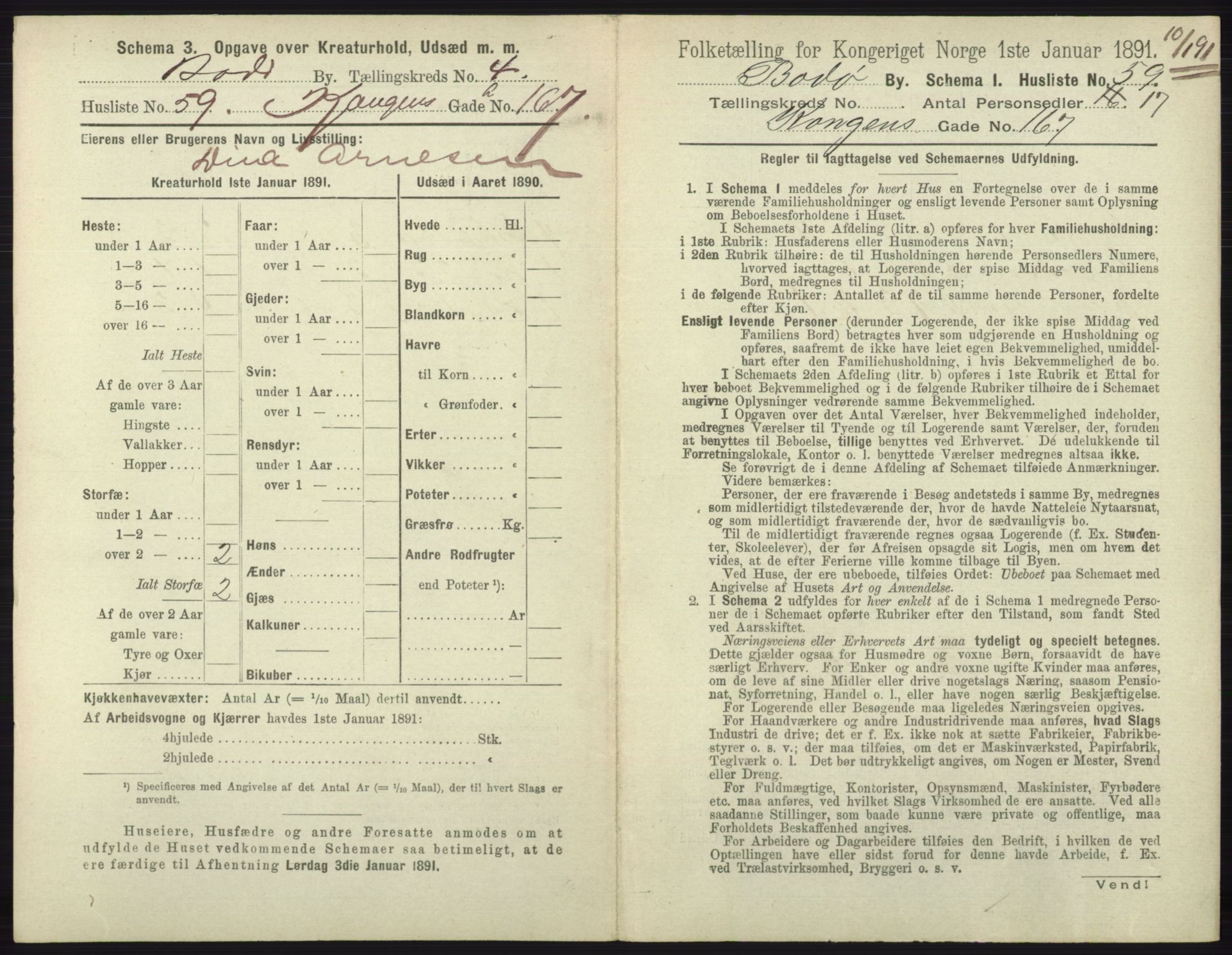 RA, 1891 census for 1804 Bodø, 1891, p. 3005