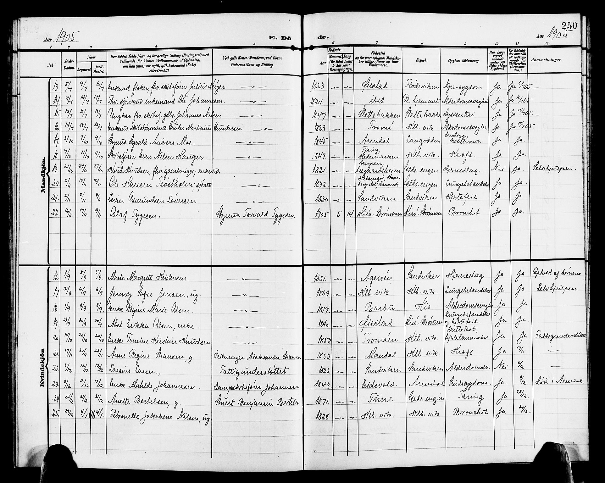 Hisøy sokneprestkontor, SAK/1111-0020/F/Fb/L0004: Parish register (copy) no. B 4, 1905-1923, p. 250