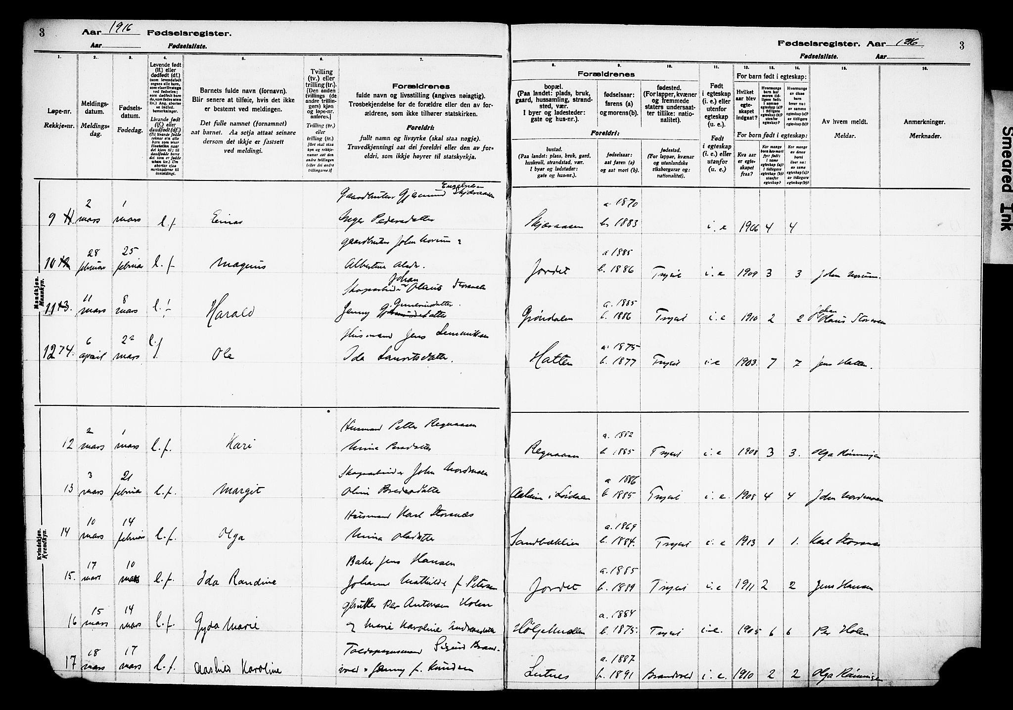 Trysil prestekontor, AV/SAH-PREST-046/I/Id/Ida/L0001: Birth register no. I 1, 1916-1927, p. 3