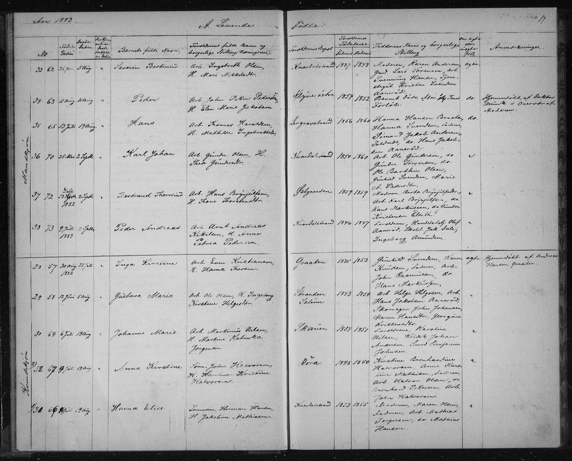 Solum kirkebøker, SAKO/A-306/G/Ga/L0006: Parish register (copy) no. I 6, 1882-1883, p. 17