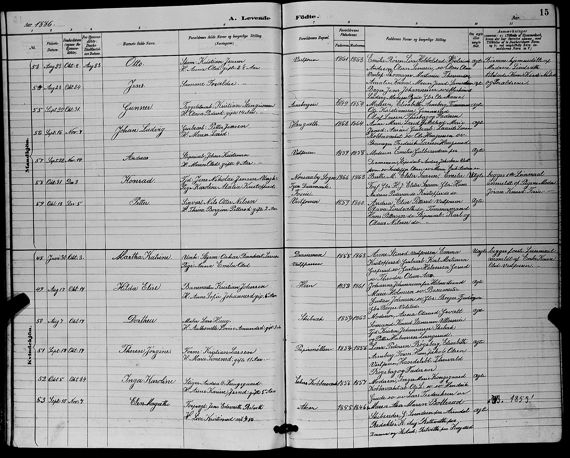 Eiker kirkebøker, AV/SAKO-A-4/G/Ga/L0006: Parish register (copy) no. I 6, 1885-1893, p. 15