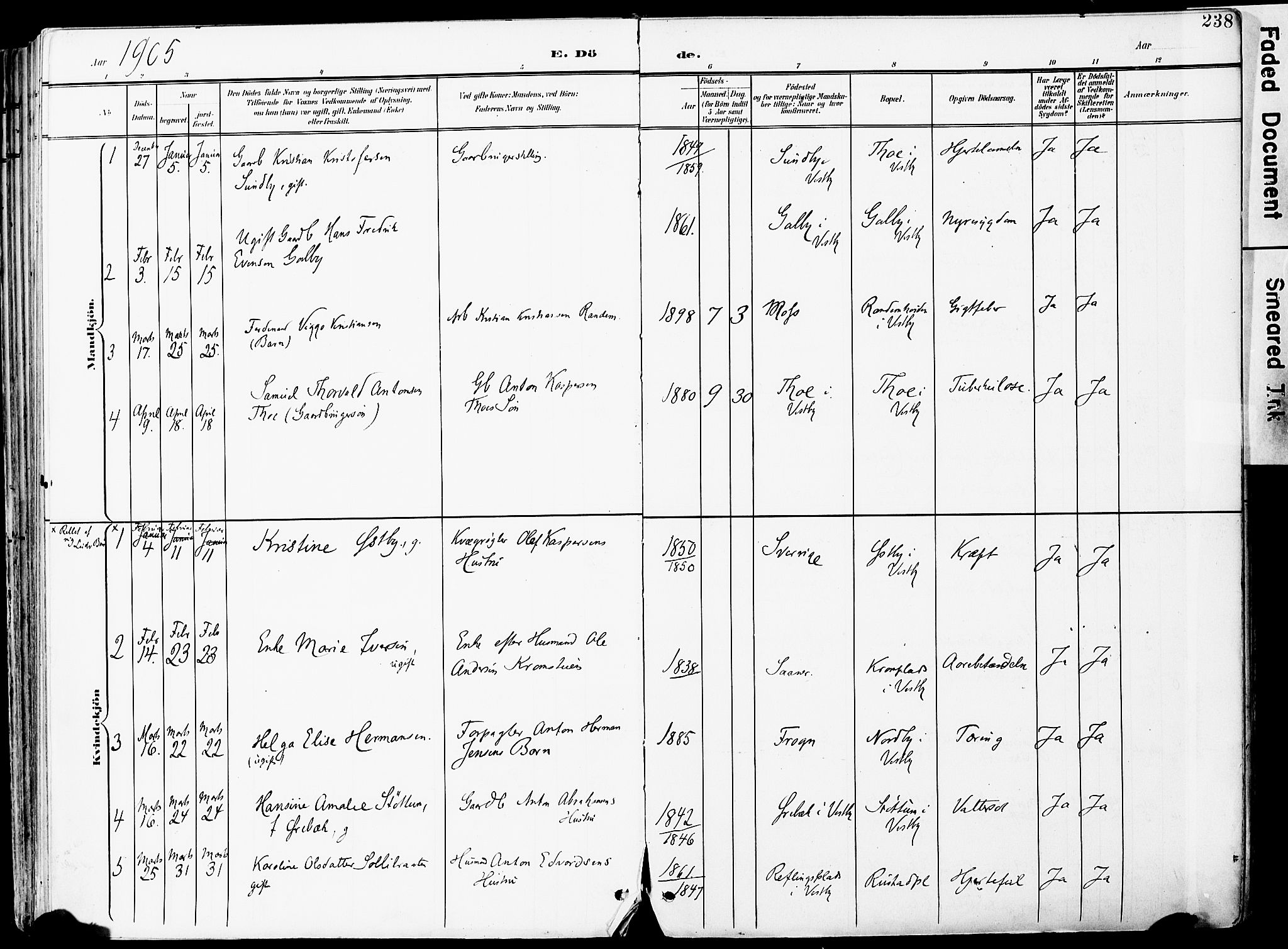 Vestby prestekontor Kirkebøker, SAO/A-10893/F/Fa/L0010: Parish register (official) no. I 10, 1900-1926, p. 238