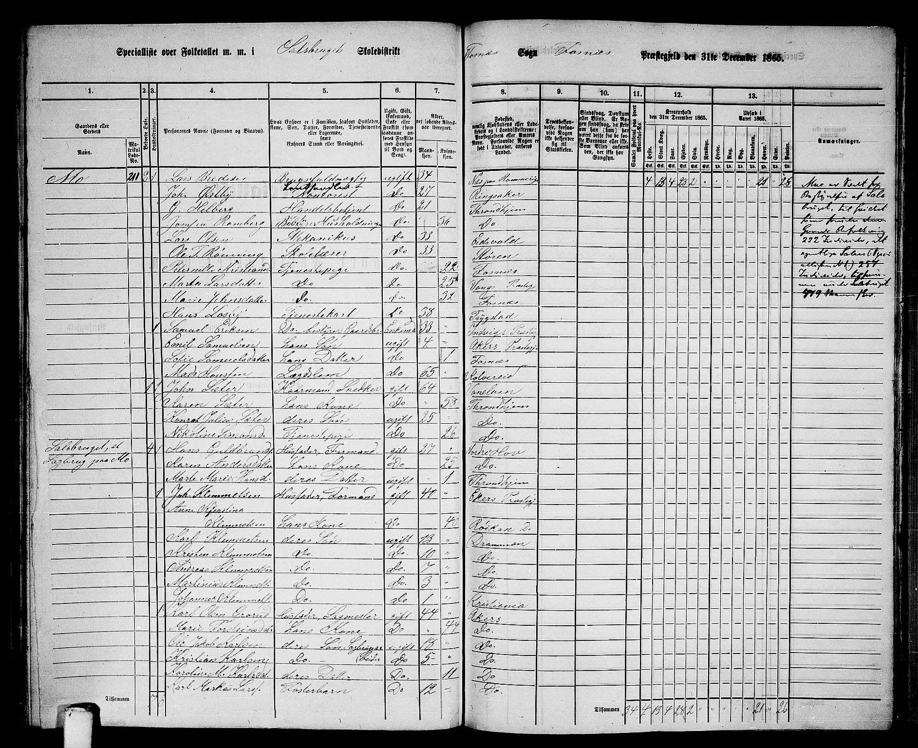 RA, 1865 census for Fosnes, 1865, p. 159