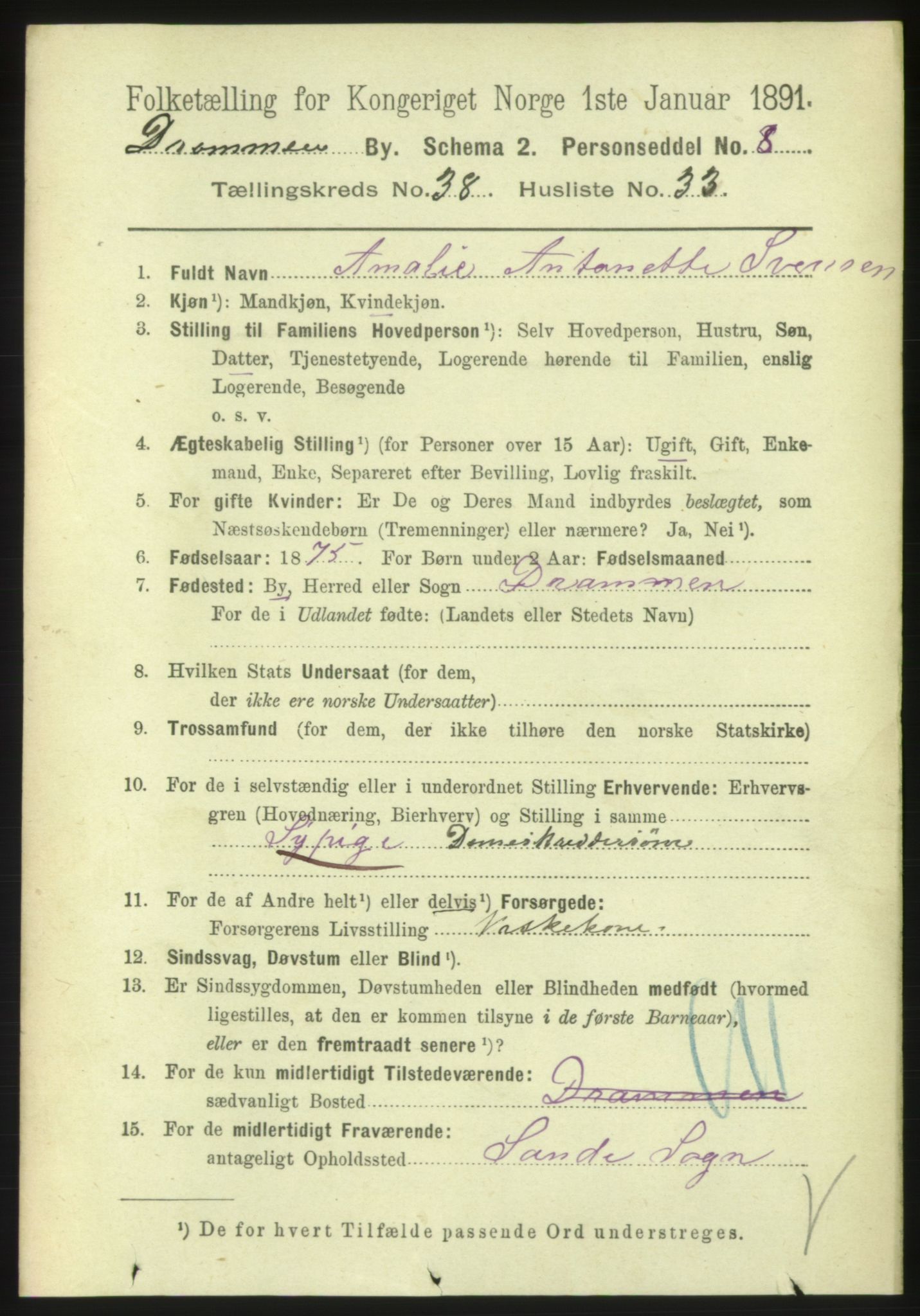 RA, 1891 census for 0602 Drammen, 1891, p. 23291