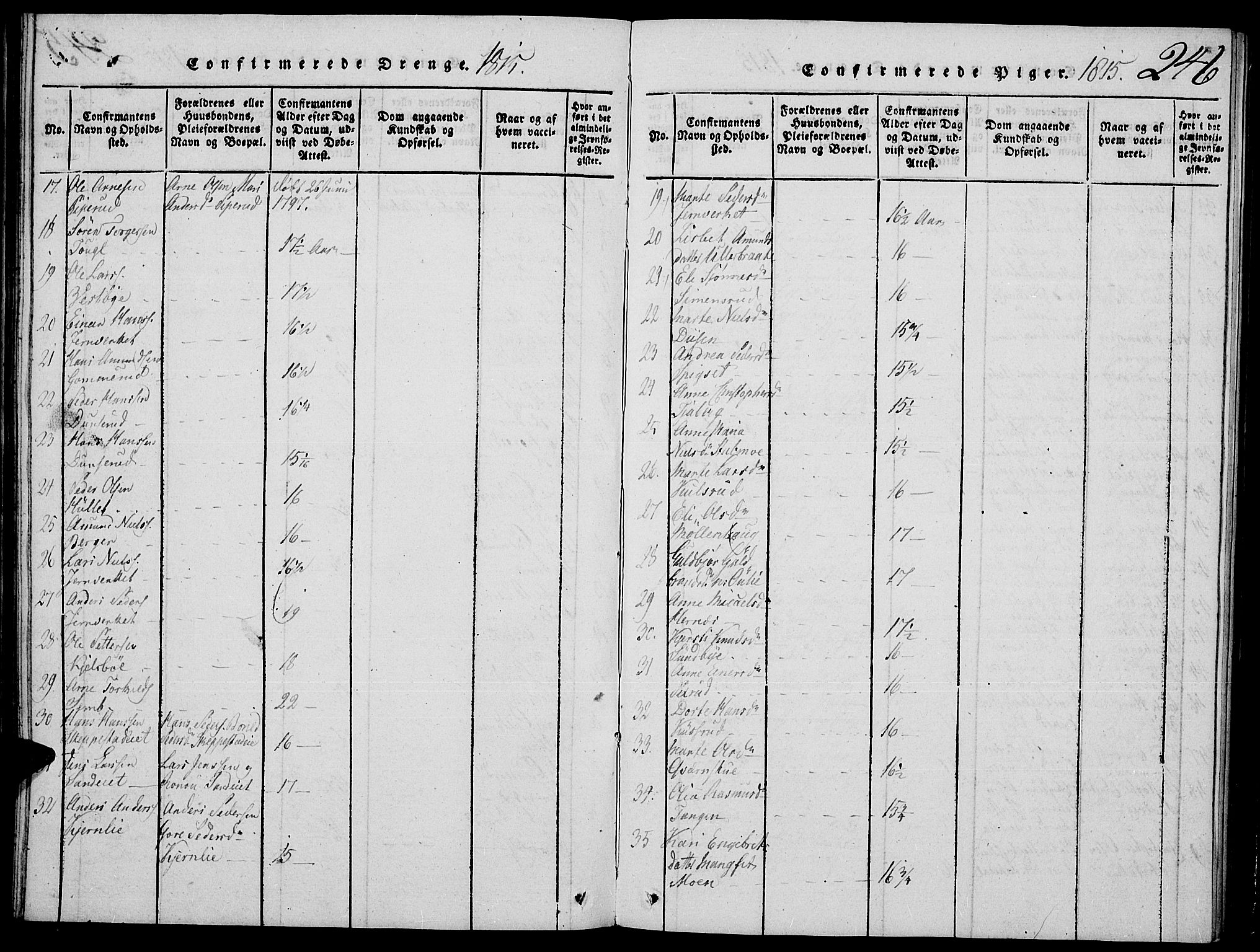 Strøm-Odalen prestekontor, AV/SAH-PREST-028/H/Ha/Hab/L0001: Parish register (copy) no. 1, 1813-1825, p. 246