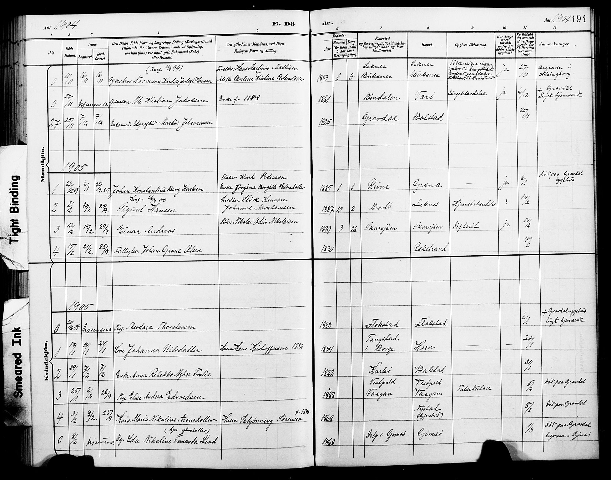 Ministerialprotokoller, klokkerbøker og fødselsregistre - Nordland, AV/SAT-A-1459/881/L1168: Parish register (copy) no. 881C05, 1900-1911, p. 194