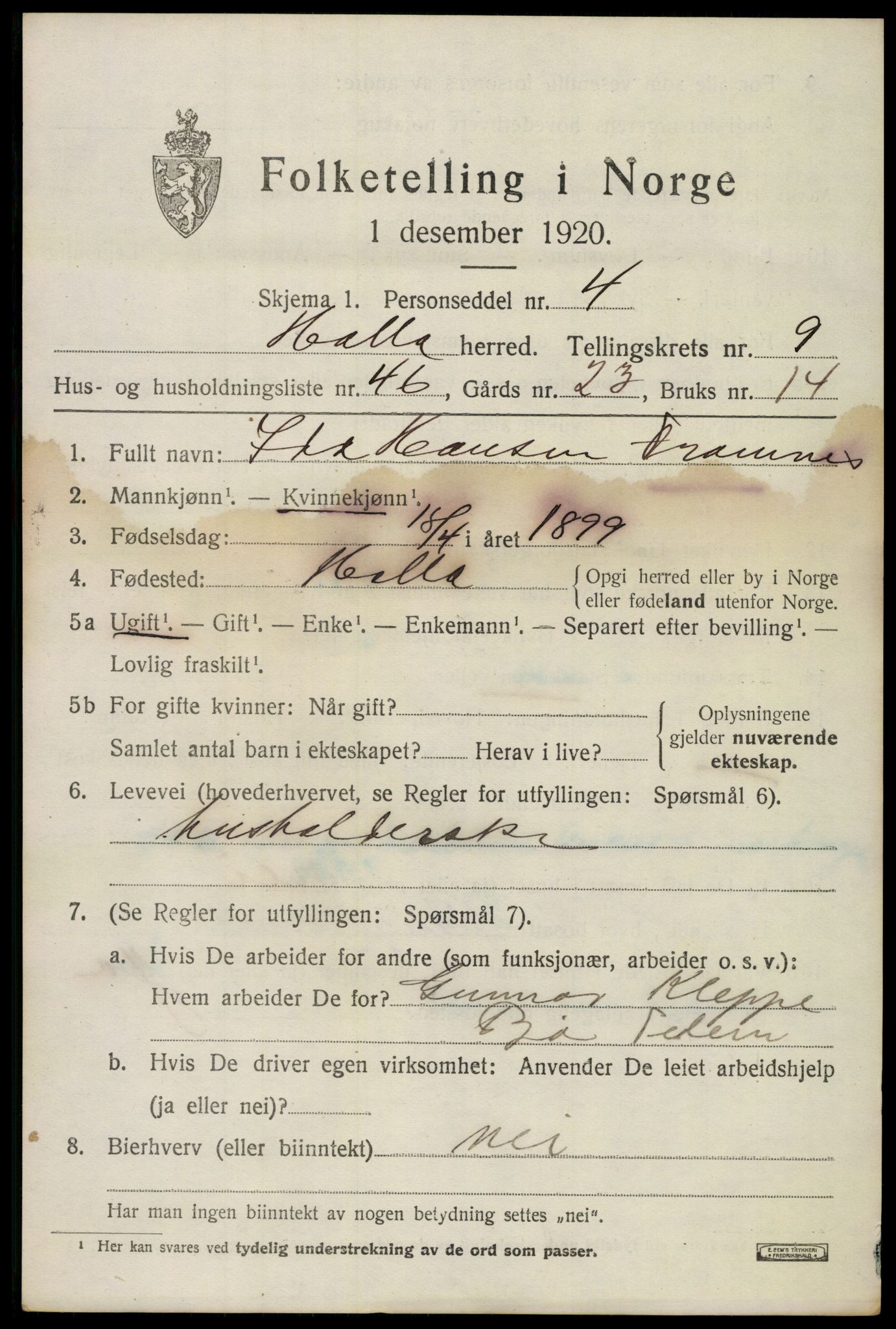 SAKO, 1920 census for Holla, 1920, p. 6019