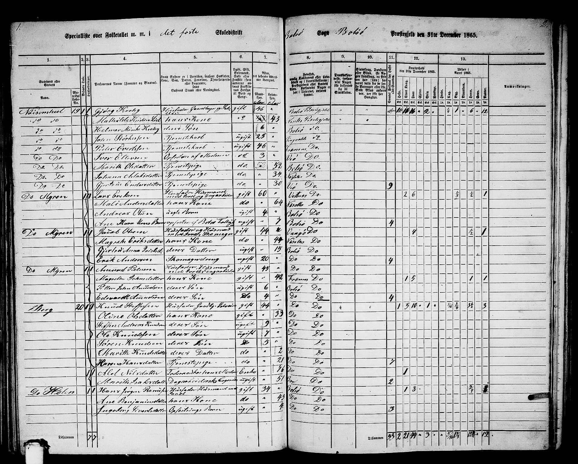 RA, 1865 census for Bolsøy, 1865, p. 33