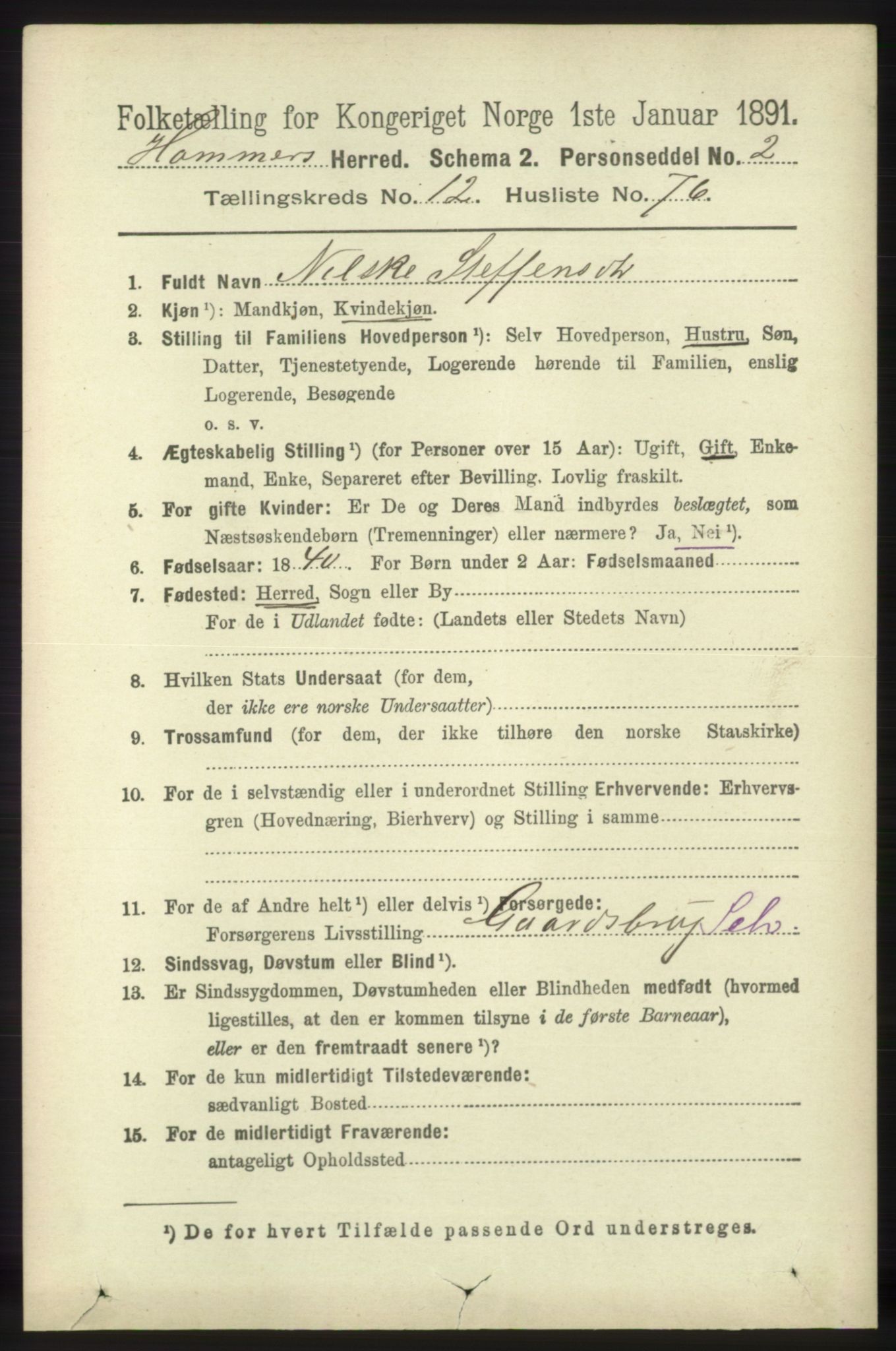 RA, 1891 census for 1254 Hamre, 1891, p. 3938