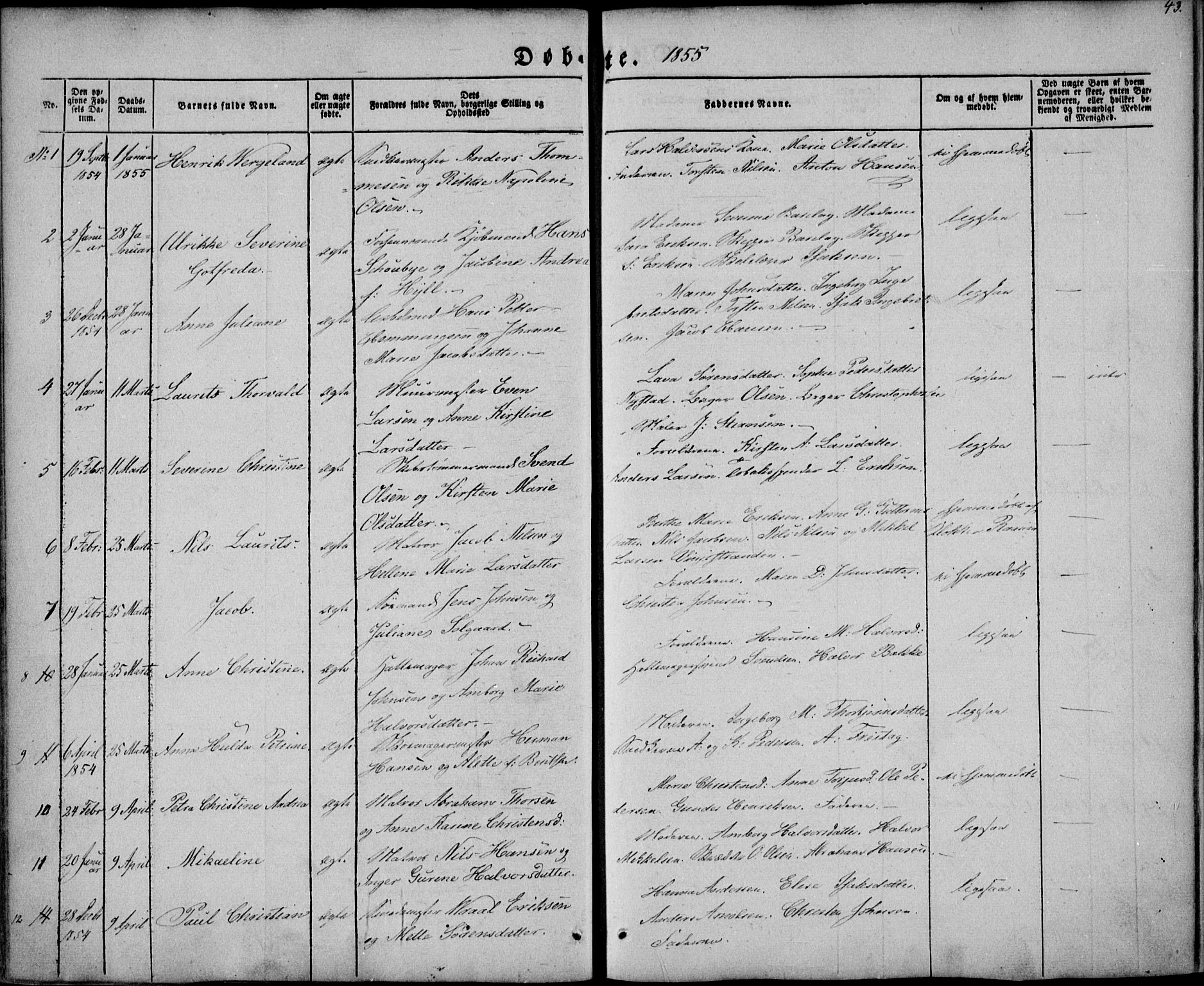 Brevik kirkebøker, AV/SAKO-A-255/F/Fa/L0005: Parish register (official) no. 5, 1847-1865, p. 43