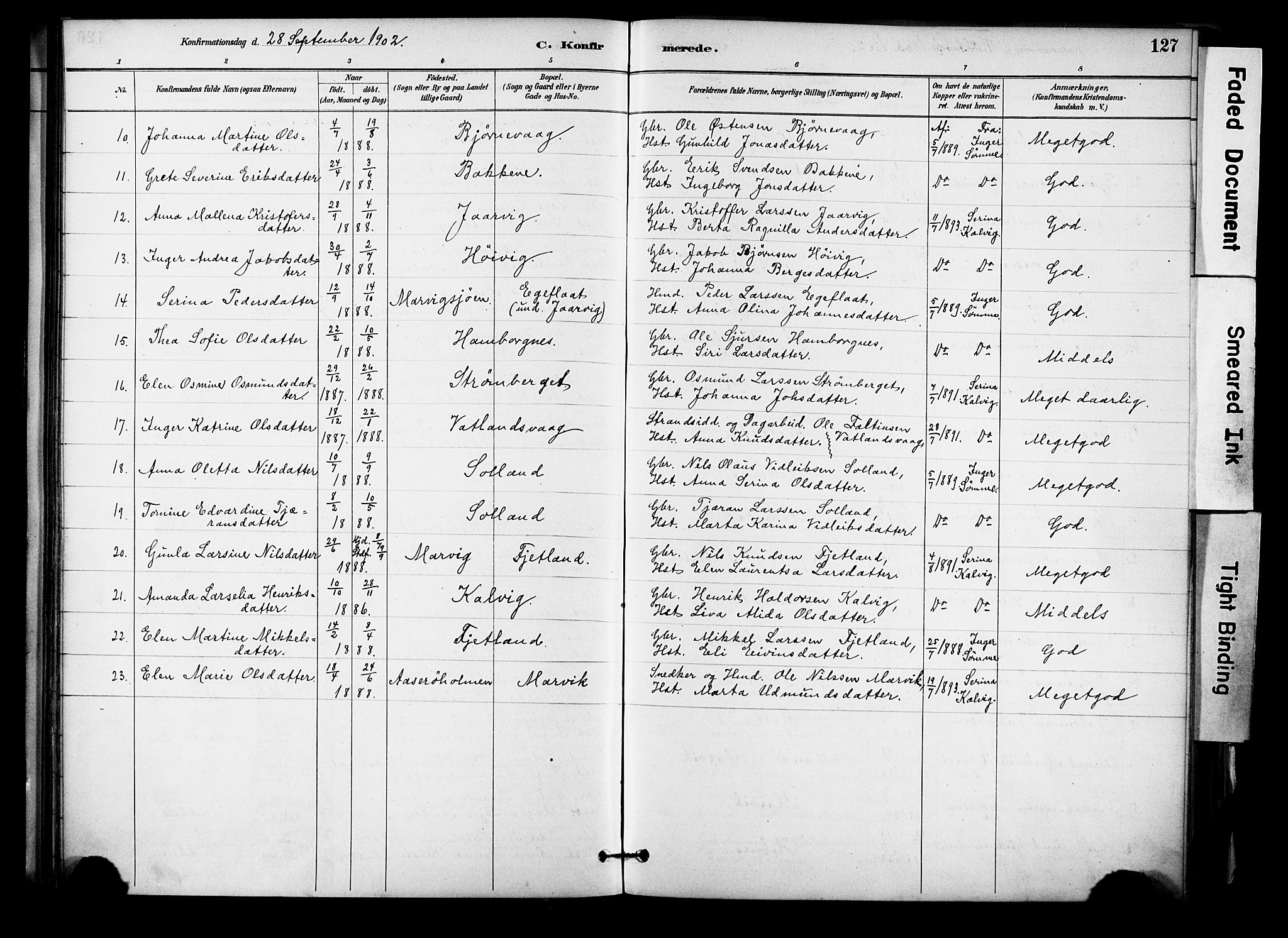 Jelsa sokneprestkontor, AV/SAST-A-101842/01/IV: Parish register (official) no. A 10, 1884-1906, p. 127