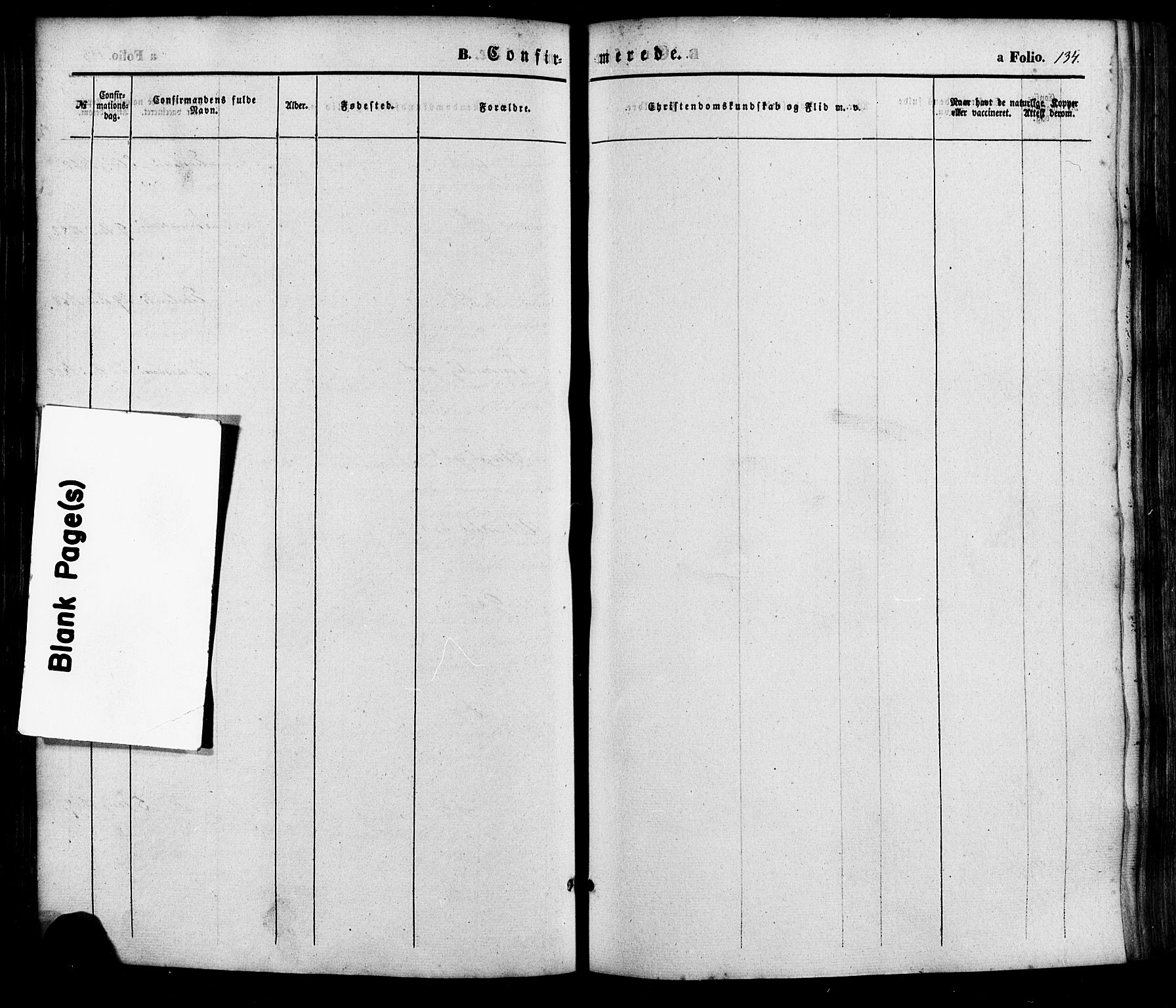 Søgne sokneprestkontor, SAK/1111-0037/F/Fa/Faa/L0002: Parish register (official) no. A 2, 1854-1882, p. 134