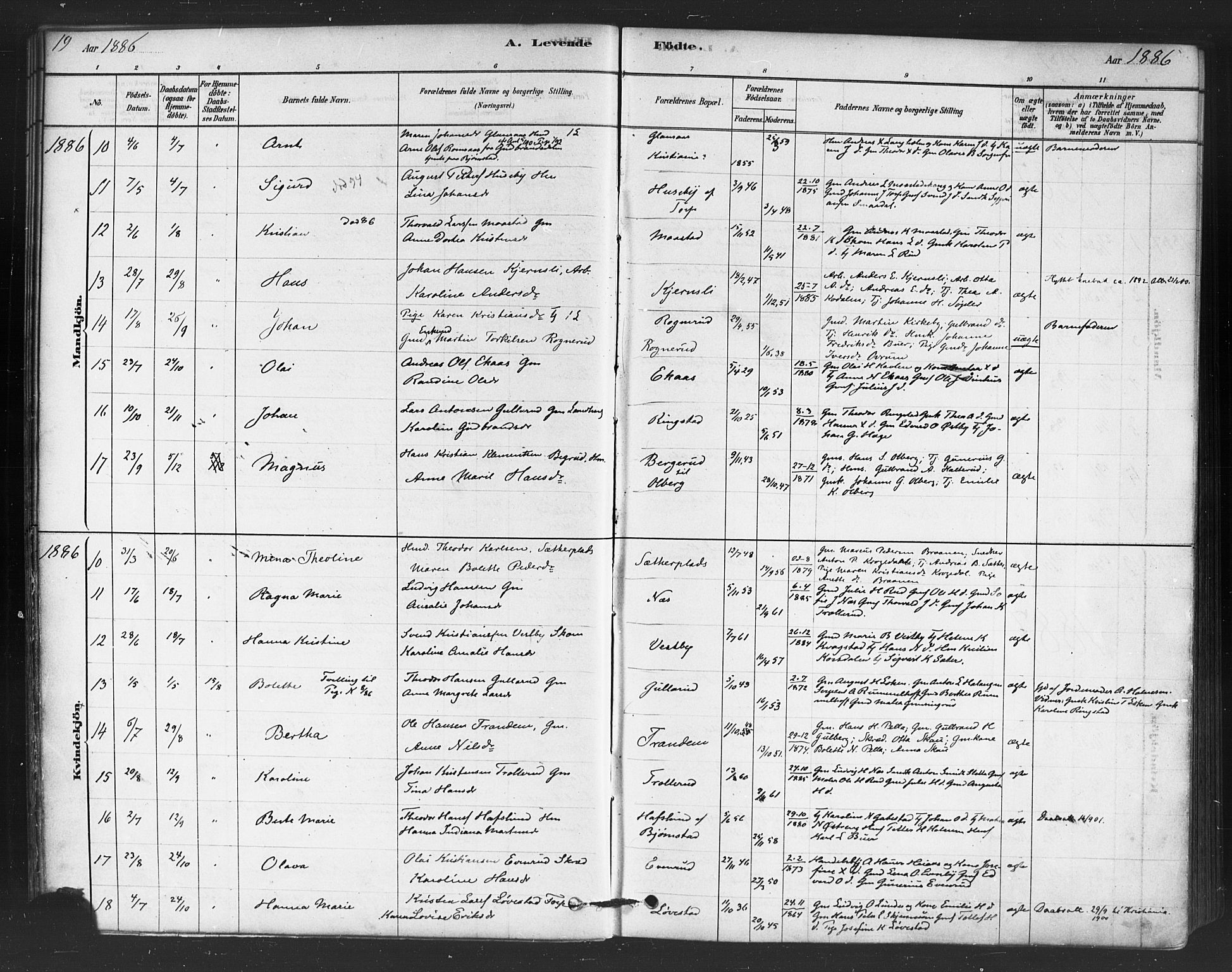 Trøgstad prestekontor Kirkebøker, AV/SAO-A-10925/F/Fb/L0001: Parish register (official) no. II 1, 1878-1902, p. 19