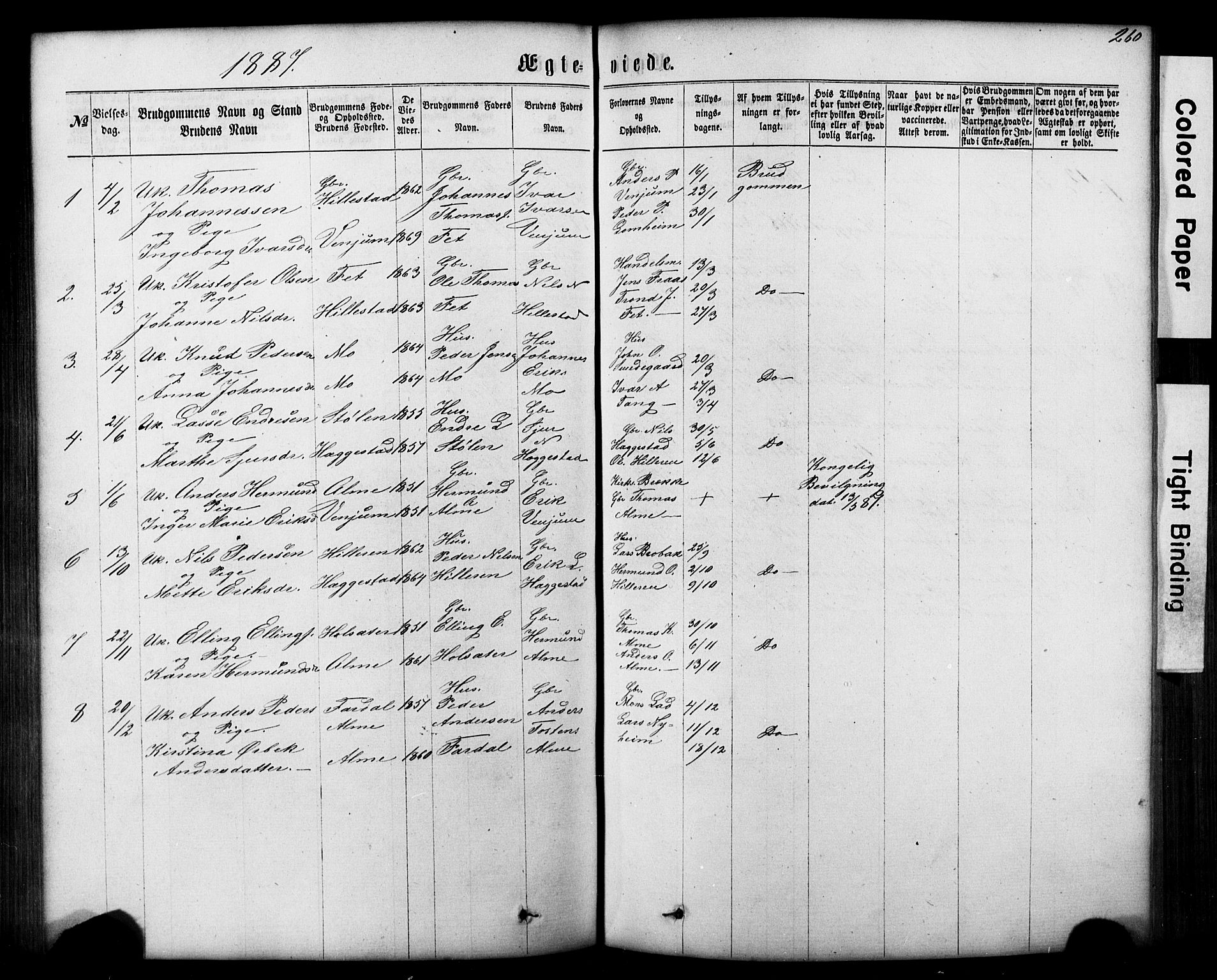 Hafslo sokneprestembete, SAB/A-80301/H/Hab/Haba/L0001: Parish register (copy) no. A 1, 1866-1908, p. 260