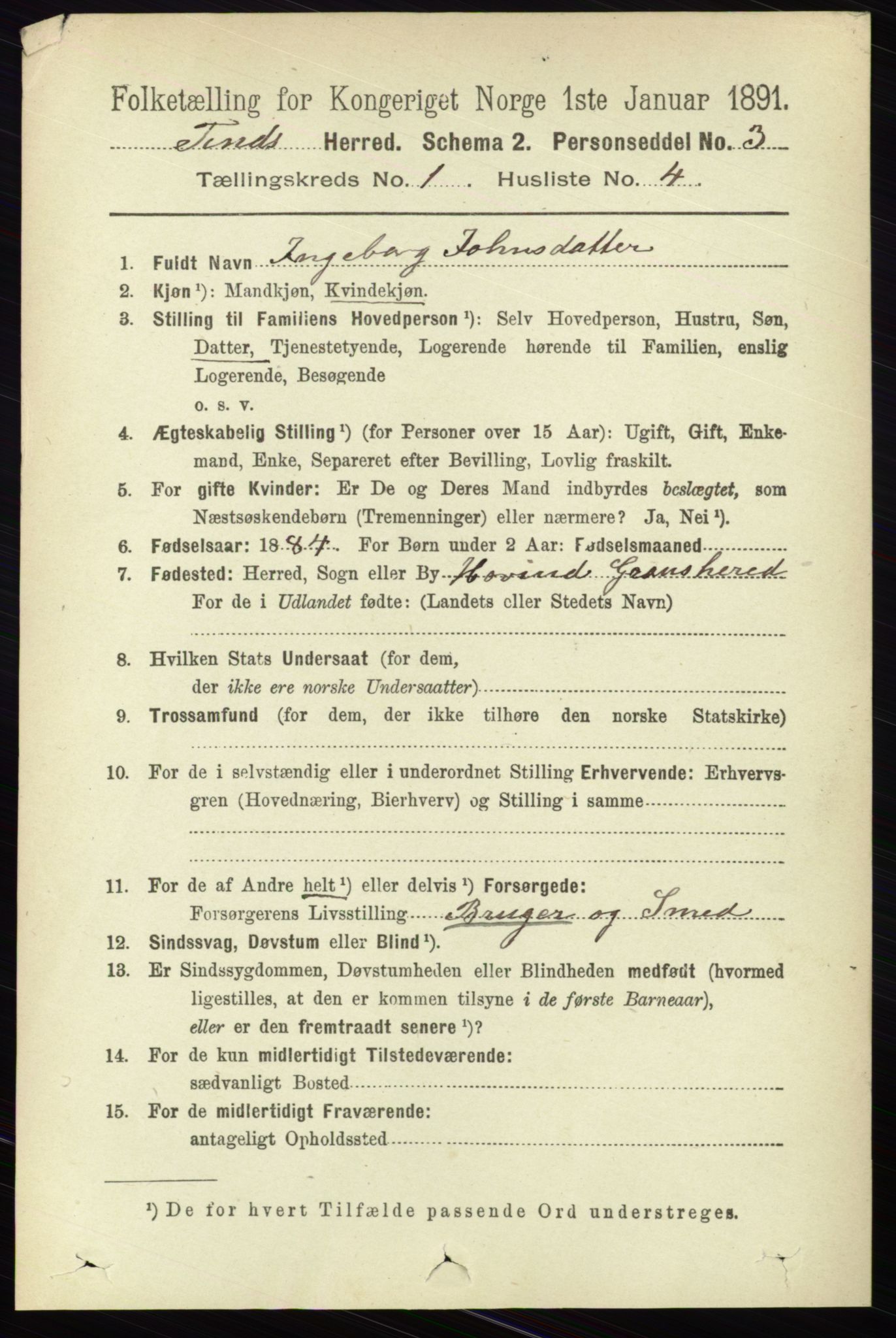 RA, 1891 census for 0826 Tinn, 1891, p. 73