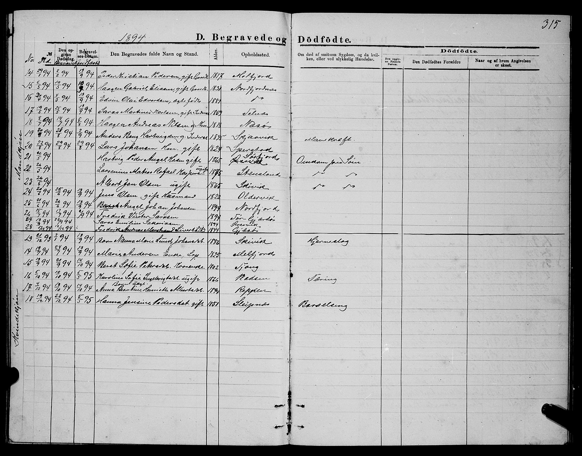 Ministerialprotokoller, klokkerbøker og fødselsregistre - Nordland, SAT/A-1459/841/L0620: Parish register (copy) no. 841C04, 1877-1896, p. 315