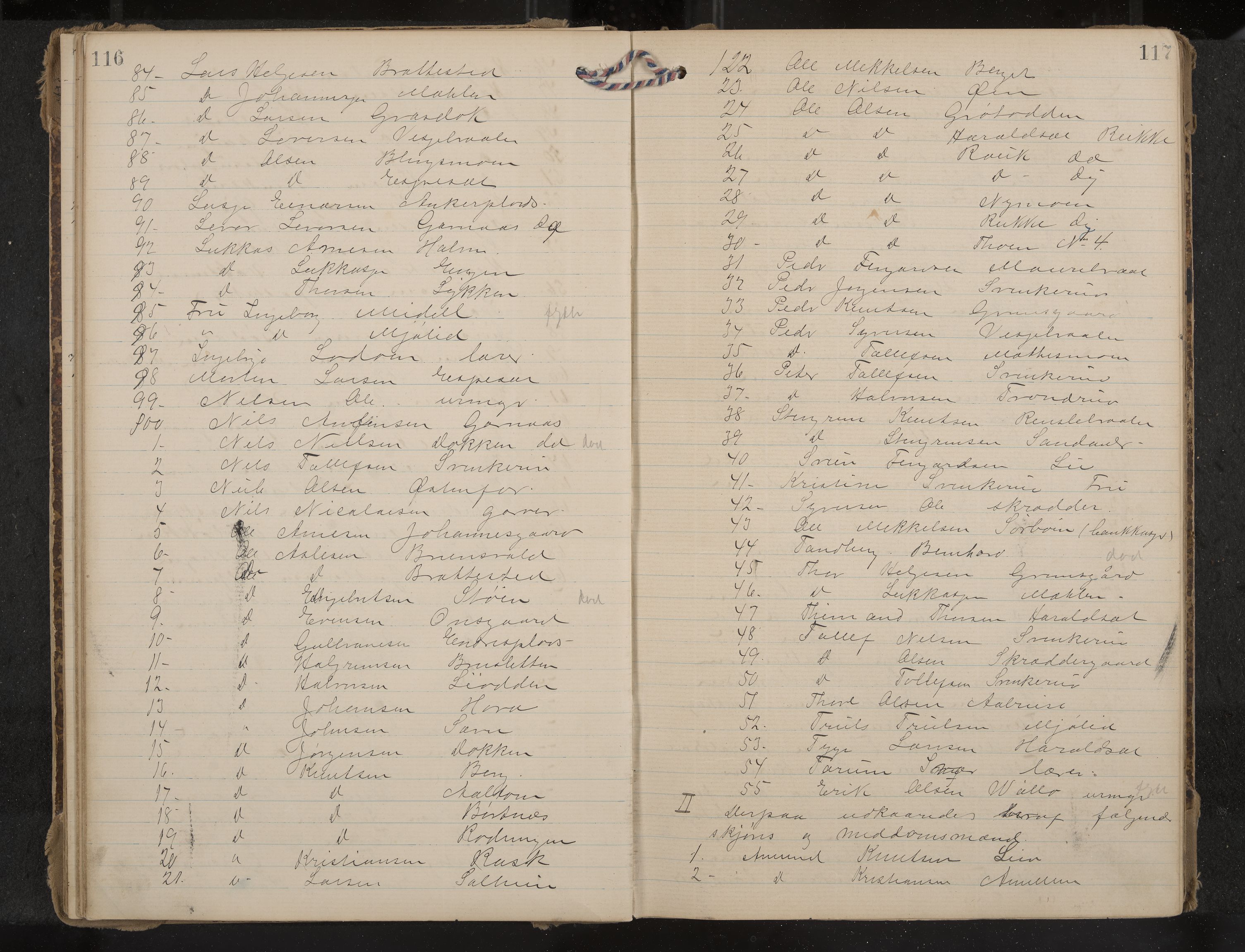 Nes formannskap og sentraladministrasjon, IKAK/0616021-1/A/Aa/L0004: Møtebok med register, 1904-1914, p. 116-117