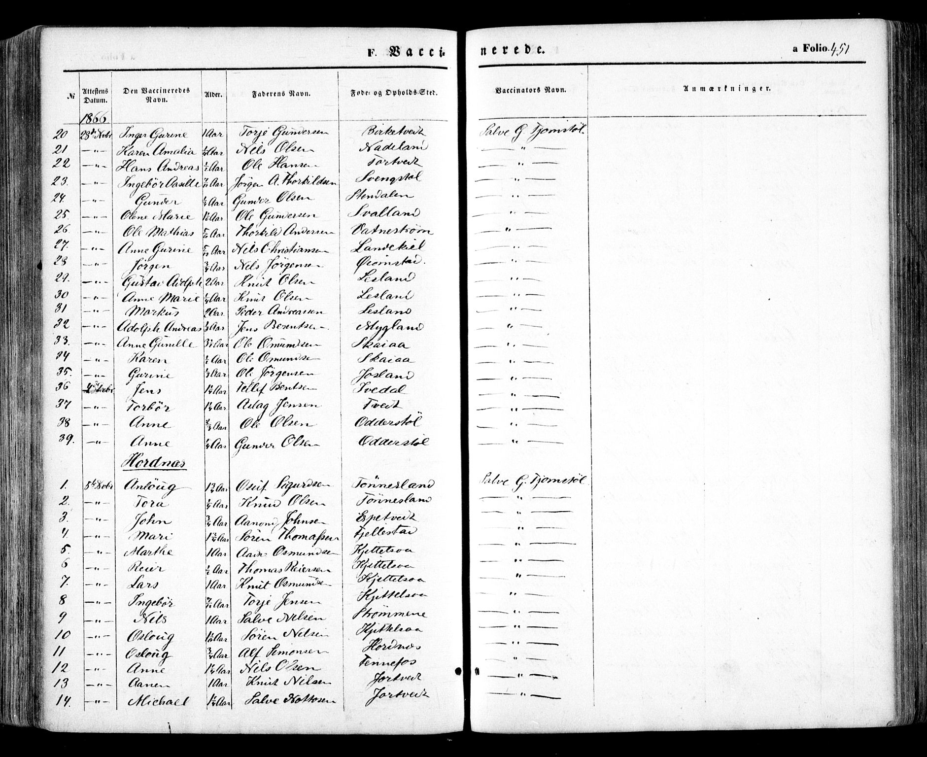 Evje sokneprestkontor, AV/SAK-1111-0008/F/Fa/Faa/L0006: Parish register (official) no. A 6, 1866-1884, p. 451