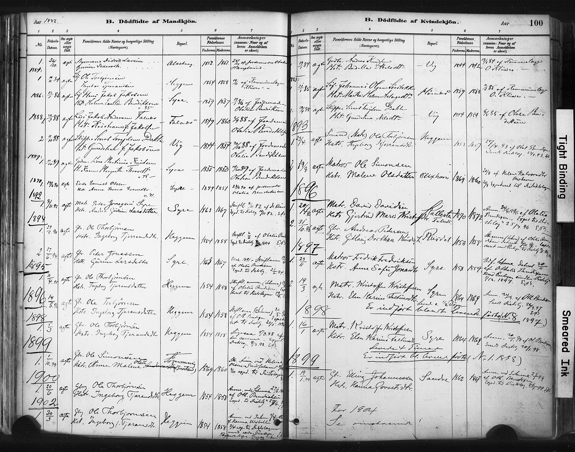 Skudenes sokneprestkontor, AV/SAST-A -101849/H/Ha/Haa/L0009: Parish register (official) no. A 6, 1882-1912, p. 100