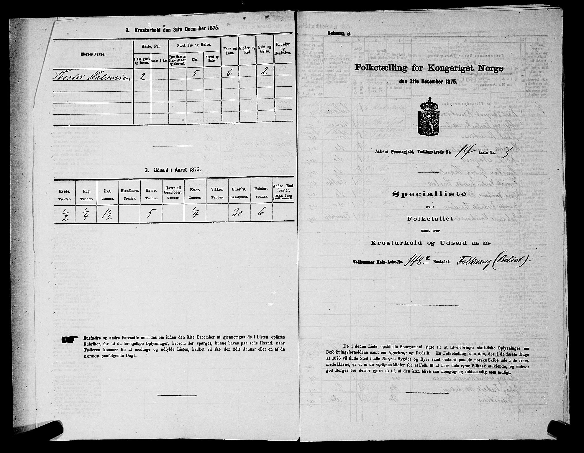 RA, 1875 census for 0220P Asker, 1875, p. 2506