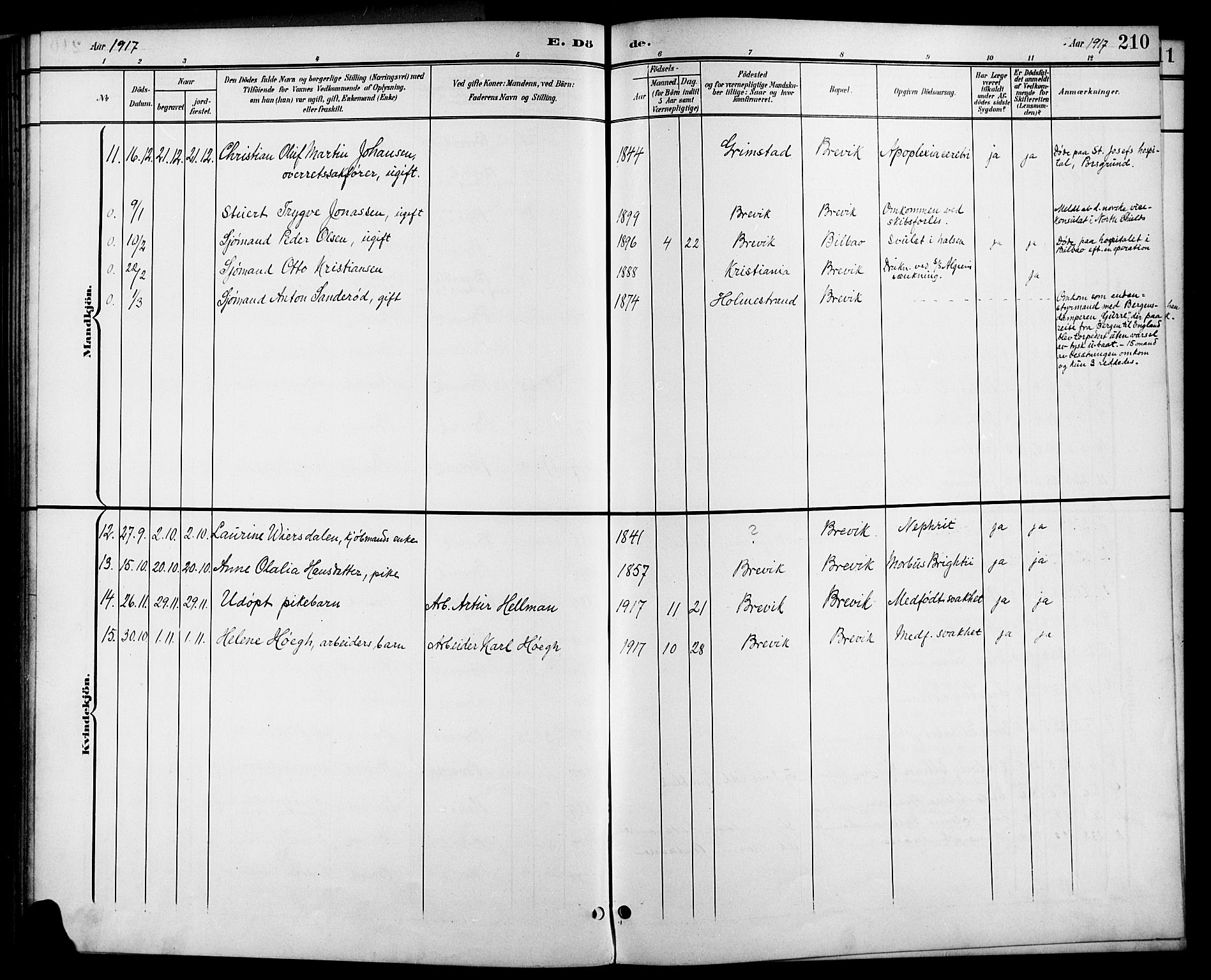 Brevik kirkebøker, SAKO/A-255/G/Ga/L0005: Parish register (copy) no. 5, 1901-1924, p. 210