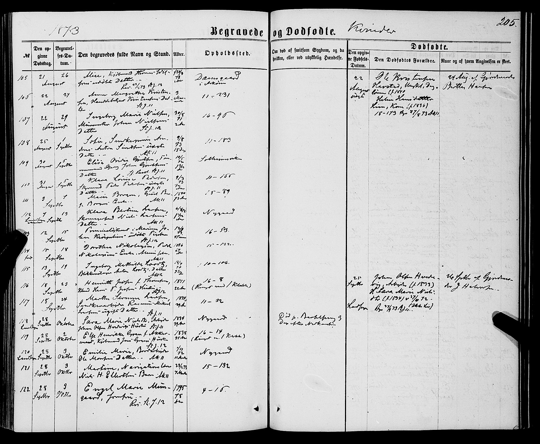 Domkirken sokneprestembete, SAB/A-74801/H/Haa/L0042: Parish register (official) no. E 3, 1863-1876, p. 205
