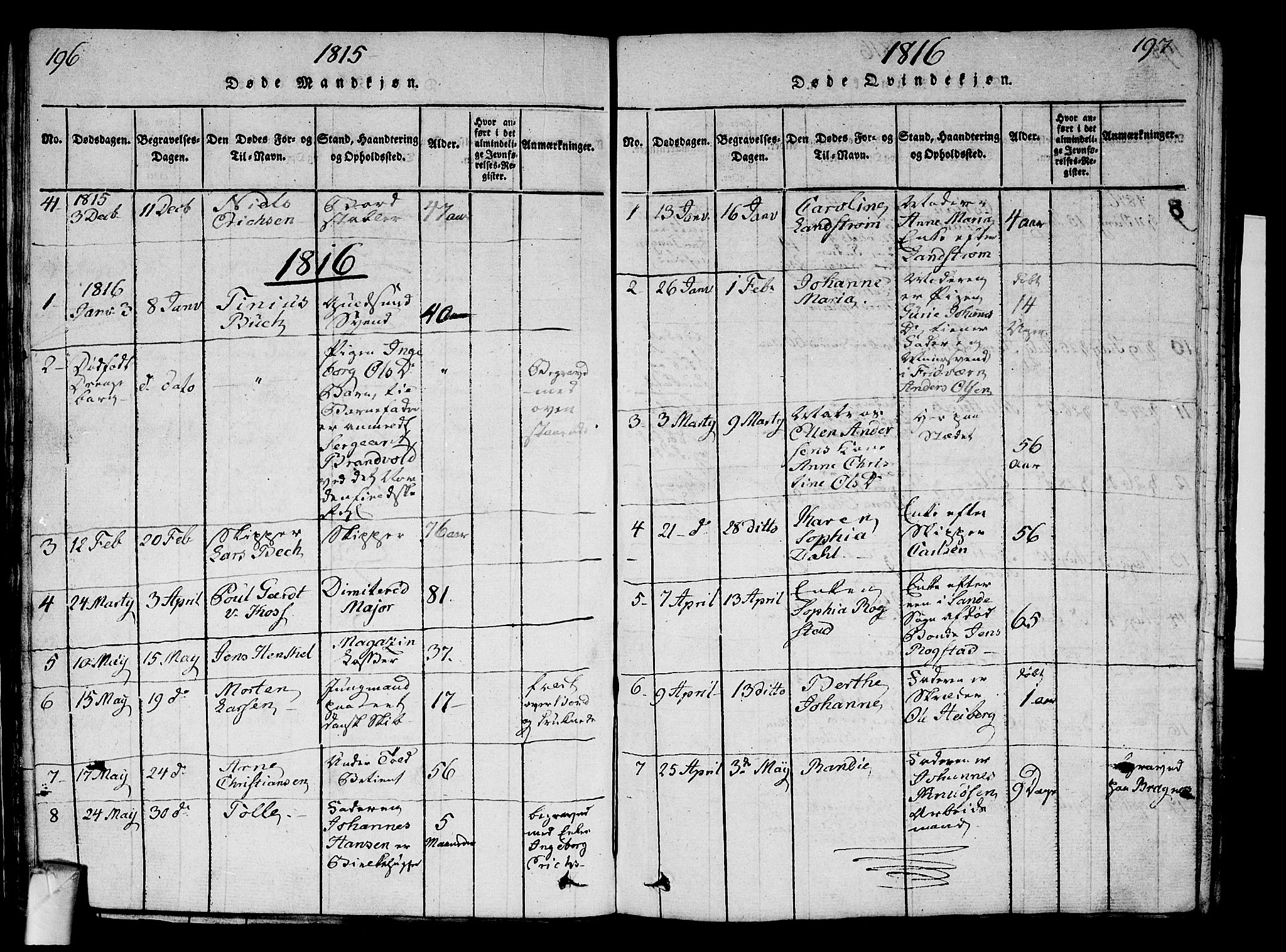 Strømsø kirkebøker, AV/SAKO-A-246/G/Ga/L0001: Parish register (copy) no. 1, 1815-1829, p. 196-197