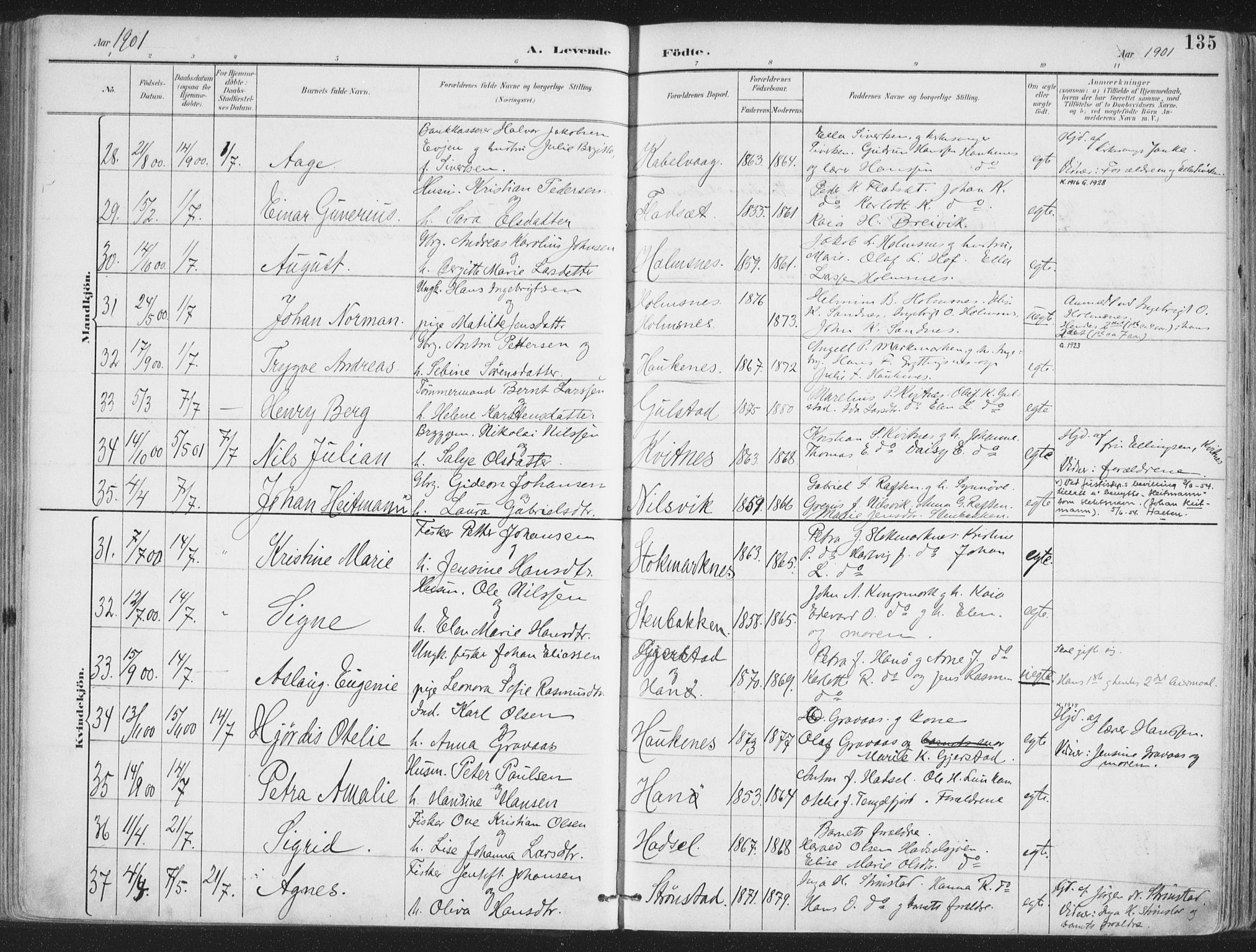 Ministerialprotokoller, klokkerbøker og fødselsregistre - Nordland, AV/SAT-A-1459/888/L1246: Parish register (official) no. 888A12, 1891-1903, p. 135