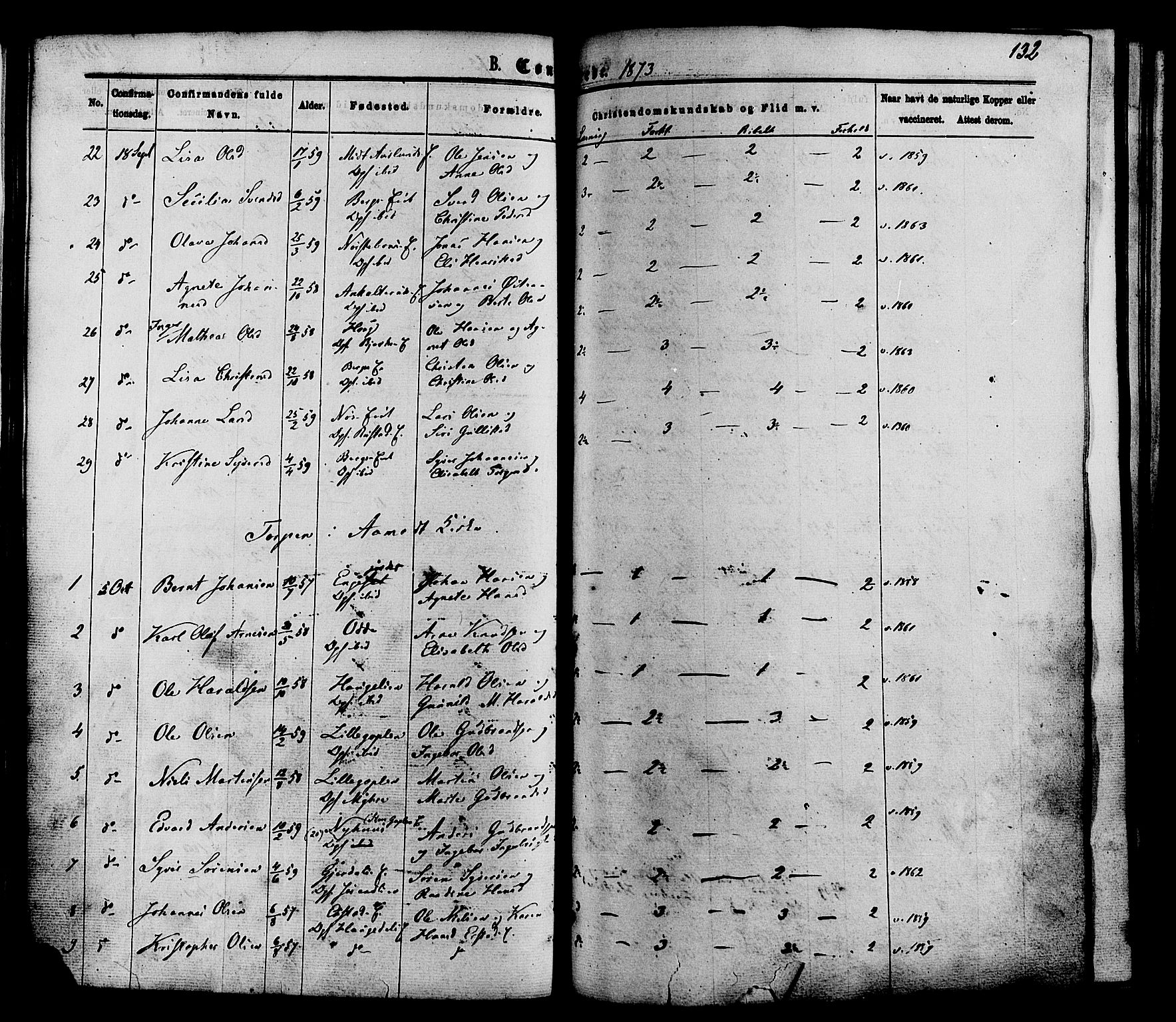 Nordre Land prestekontor, AV/SAH-PREST-124/H/Ha/Haa/L0002: Parish register (official) no. 2, 1872-1881, p. 132