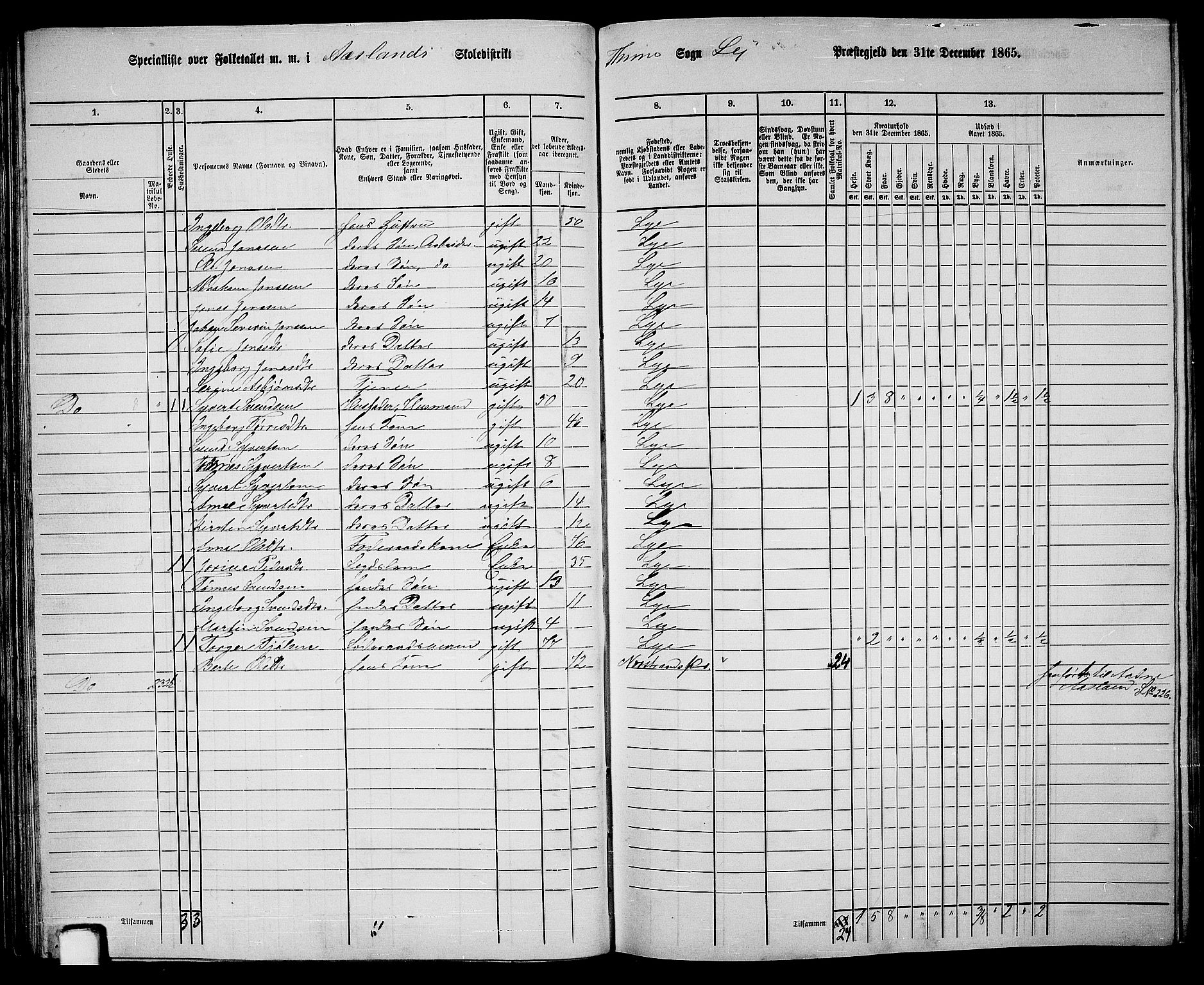 RA, 1865 census for Lye, 1865, p. 48