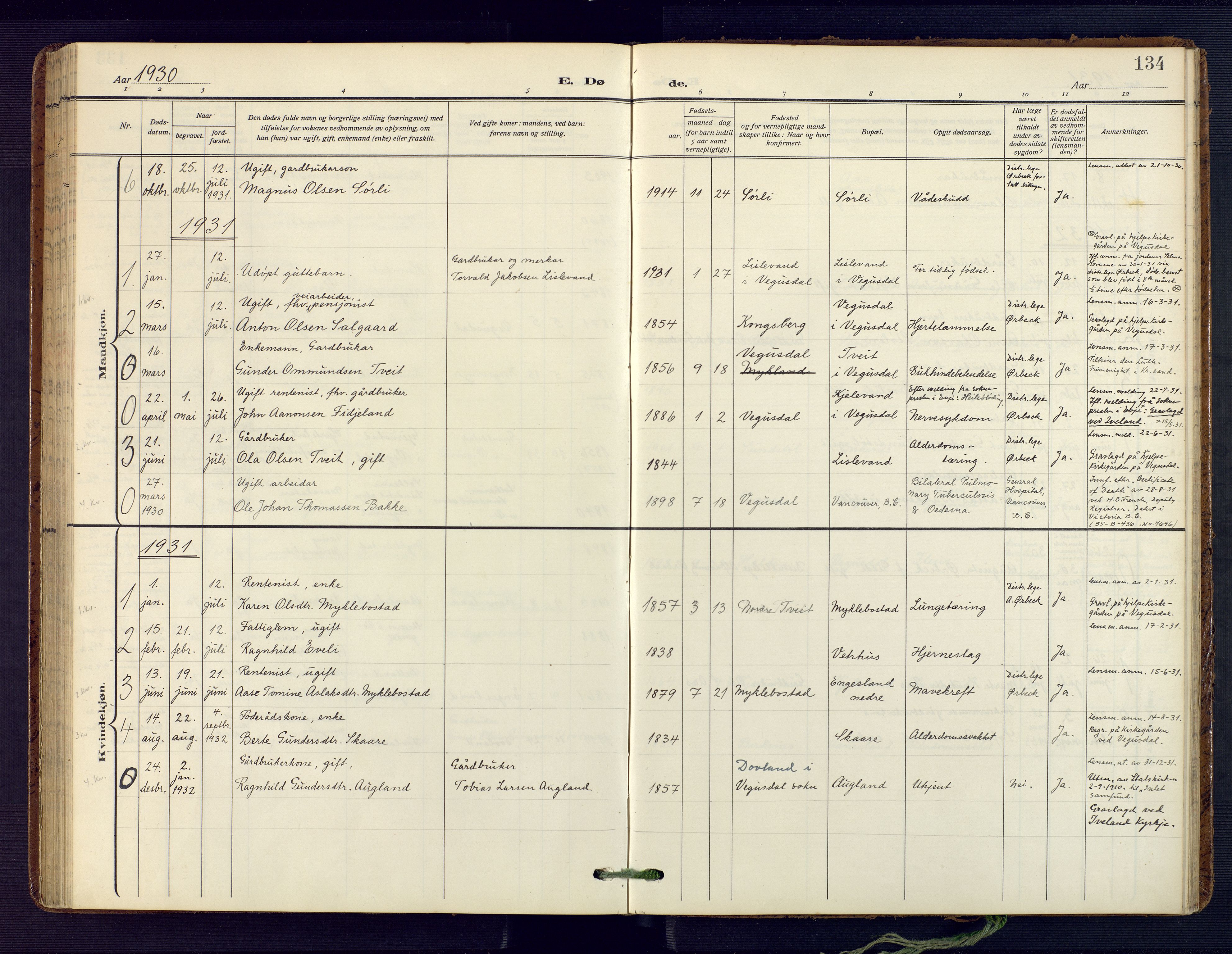 Herefoss sokneprestkontor, SAK/1111-0019/F/Fa/Fab/L0005: Parish register (official) no. A 5, 1910-1932, p. 134