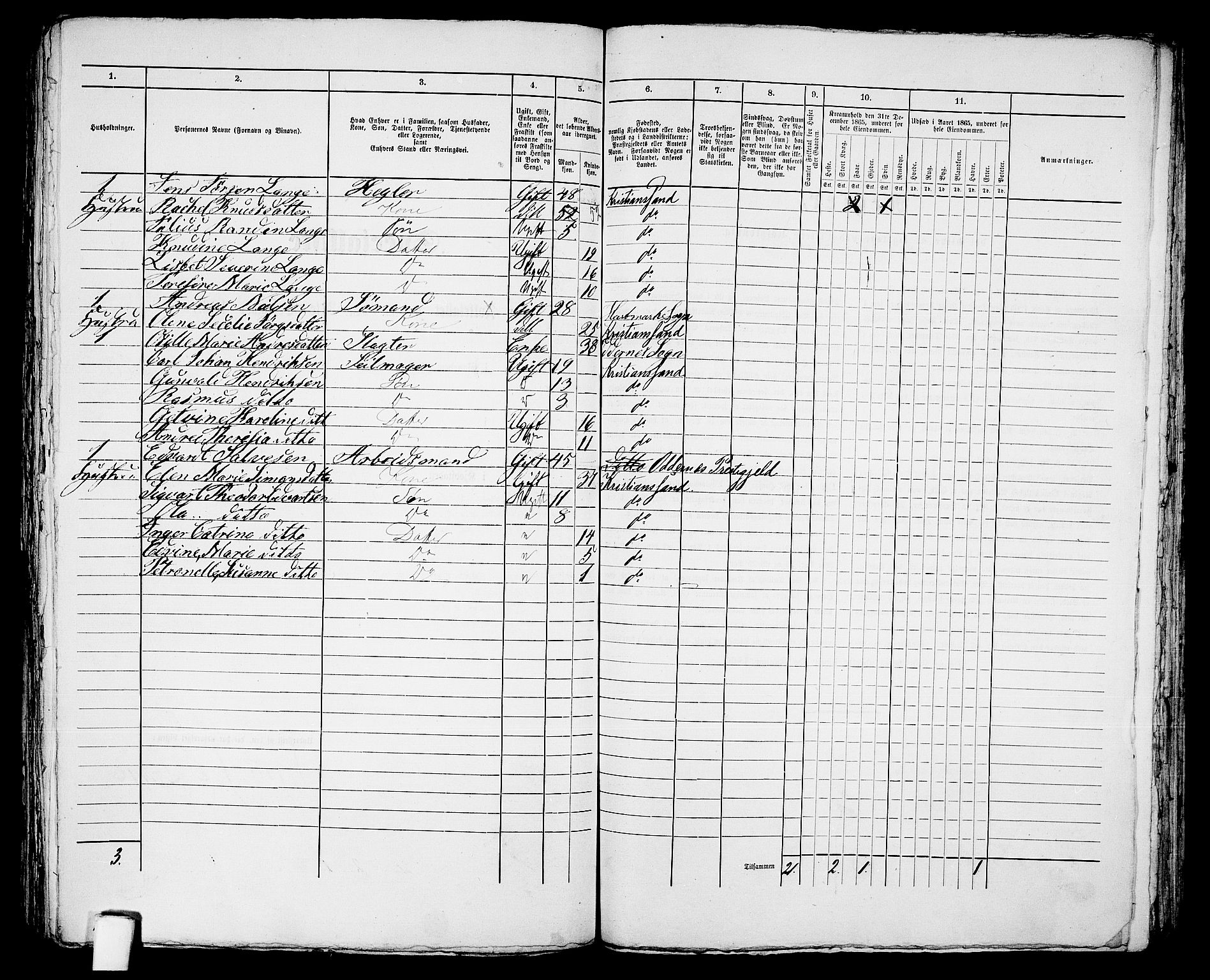 RA, 1865 census for Kristiansand, 1865, p. 1464