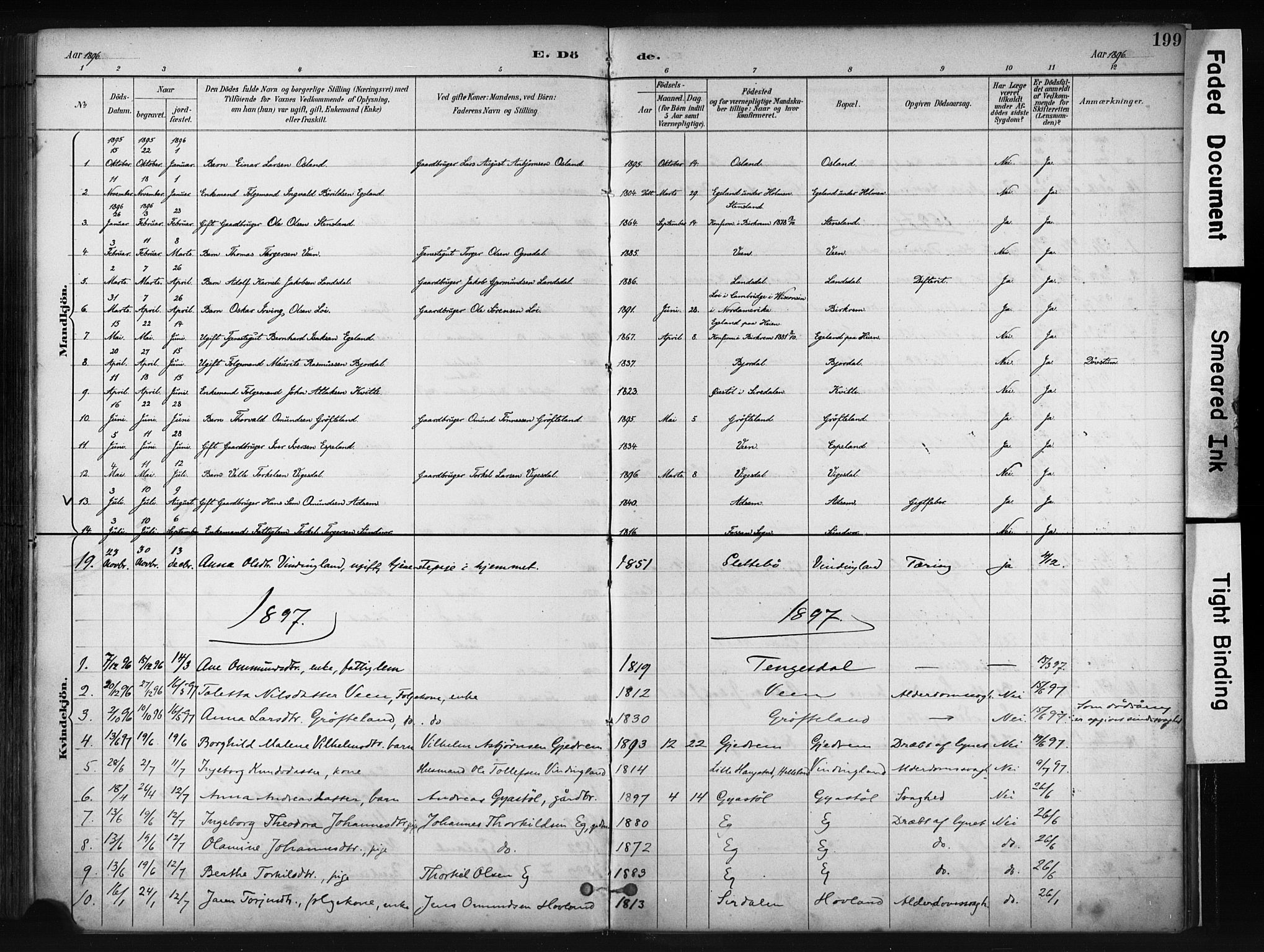 Helleland sokneprestkontor, AV/SAST-A-101810: Parish register (official) no. A 9, 1887-1908, p. 199