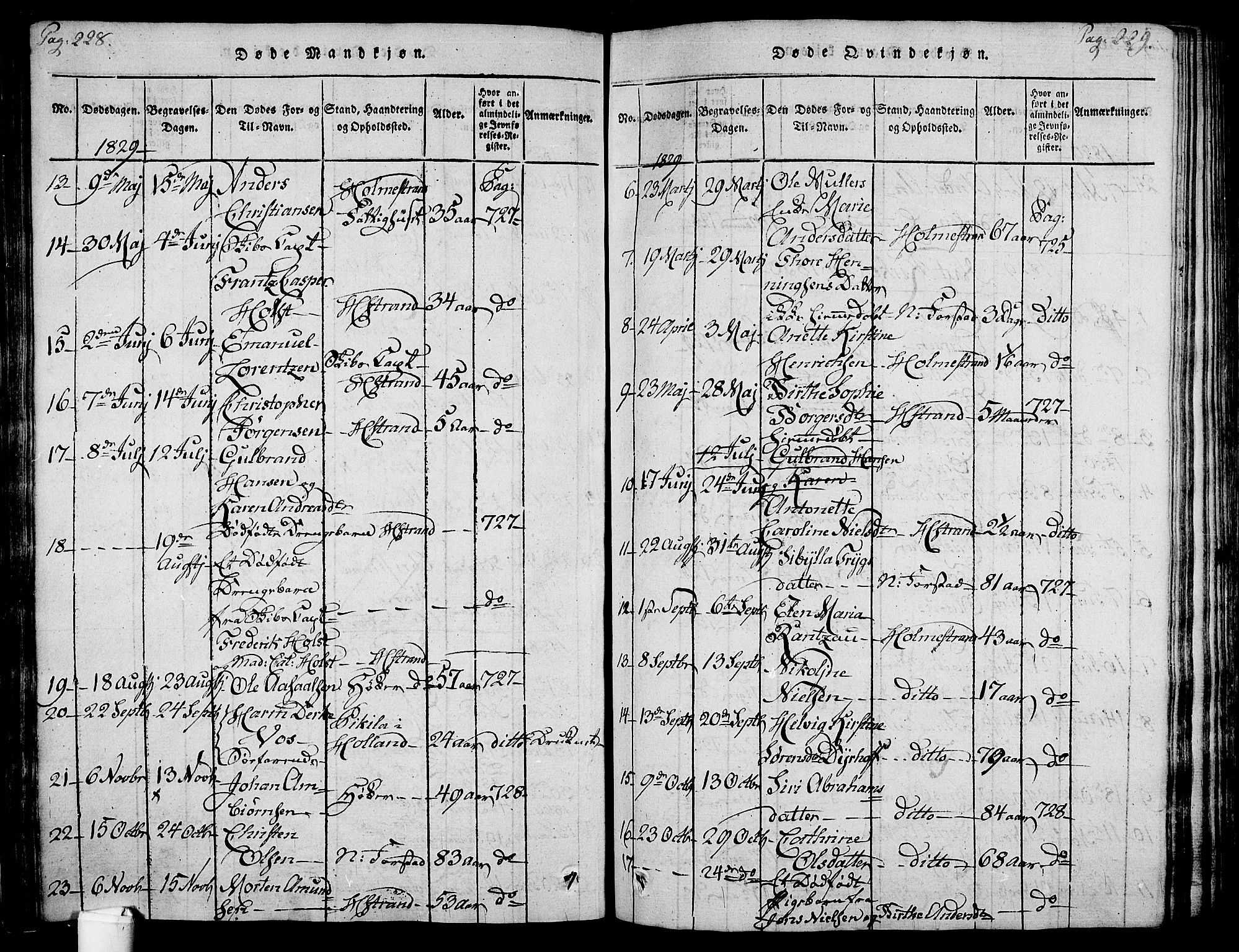 Holmestrand kirkebøker, AV/SAKO-A-346/F/Fa/L0001: Parish register (official) no. 1, 1814-1840, p. 228-229