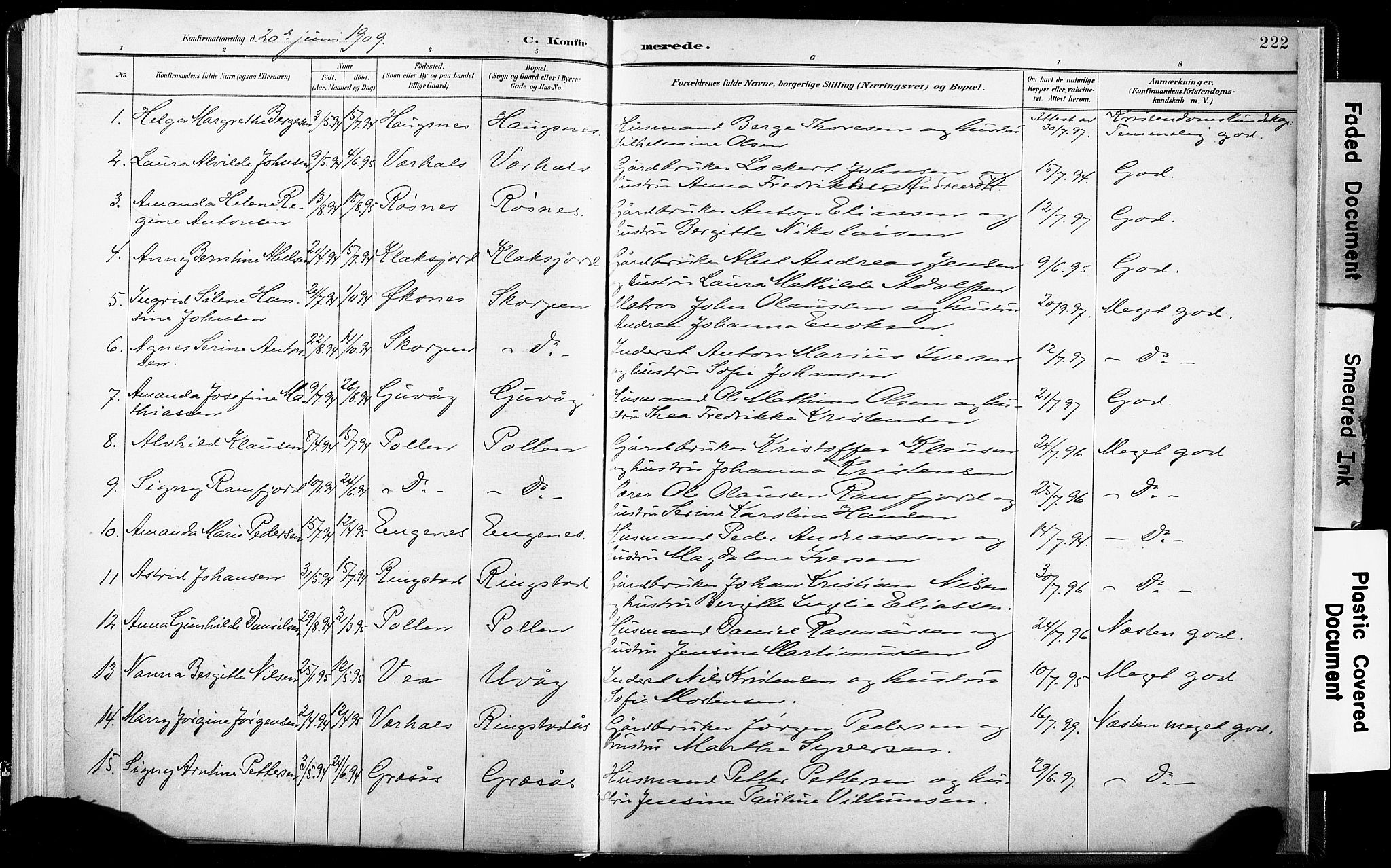 Ministerialprotokoller, klokkerbøker og fødselsregistre - Nordland, AV/SAT-A-1459/891/L1304: Parish register (official) no. 891A09, 1895-1921, p. 222