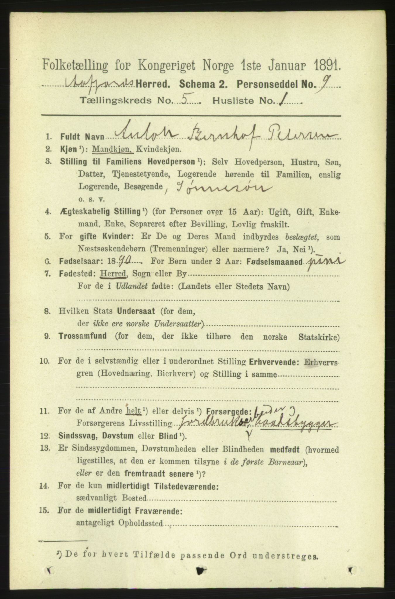 RA, 1891 census for 1630 Åfjord, 1891, p. 1199