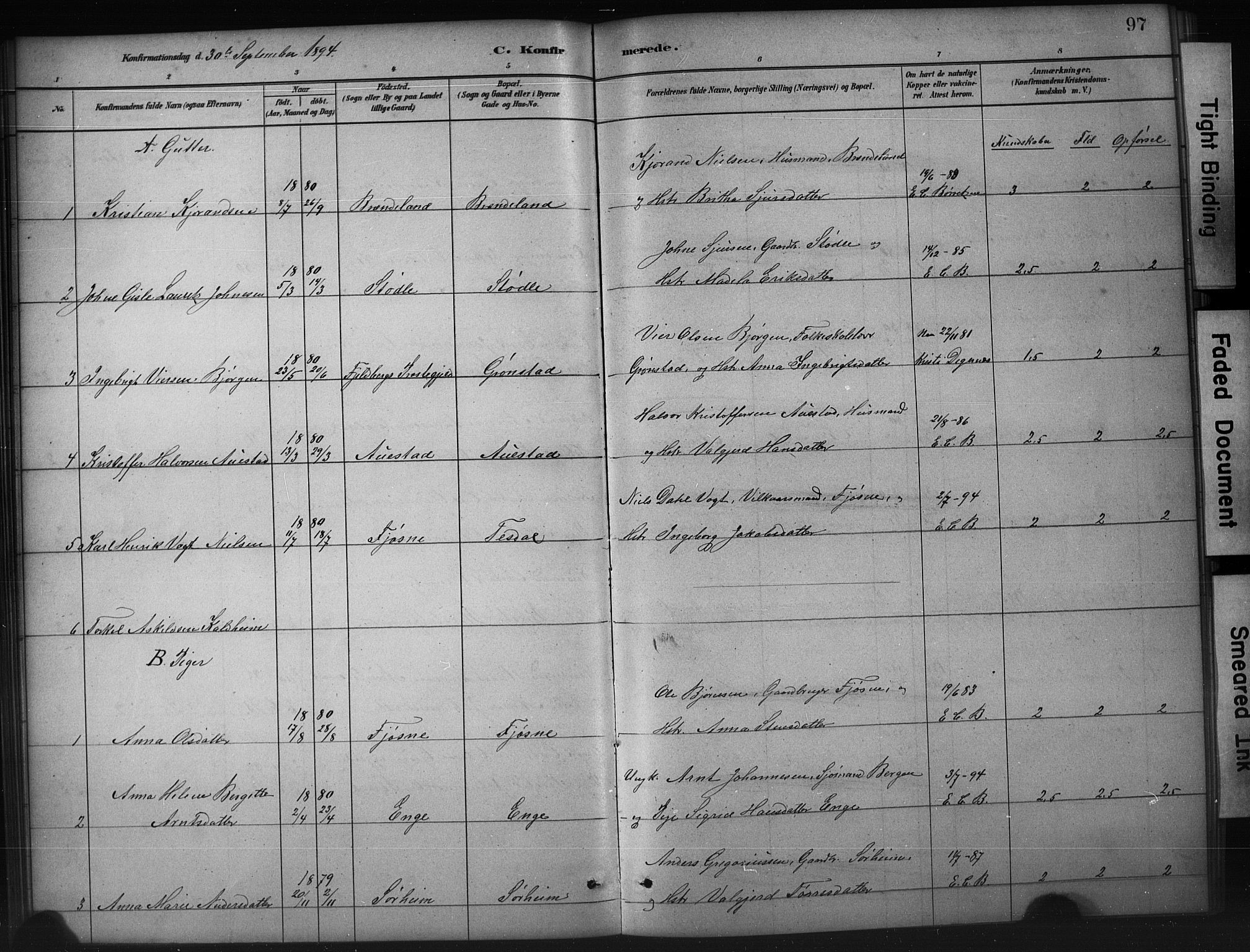 Etne sokneprestembete, SAB/A-75001/H/Hab: Parish register (copy) no. A 5, 1879-1896, p. 97