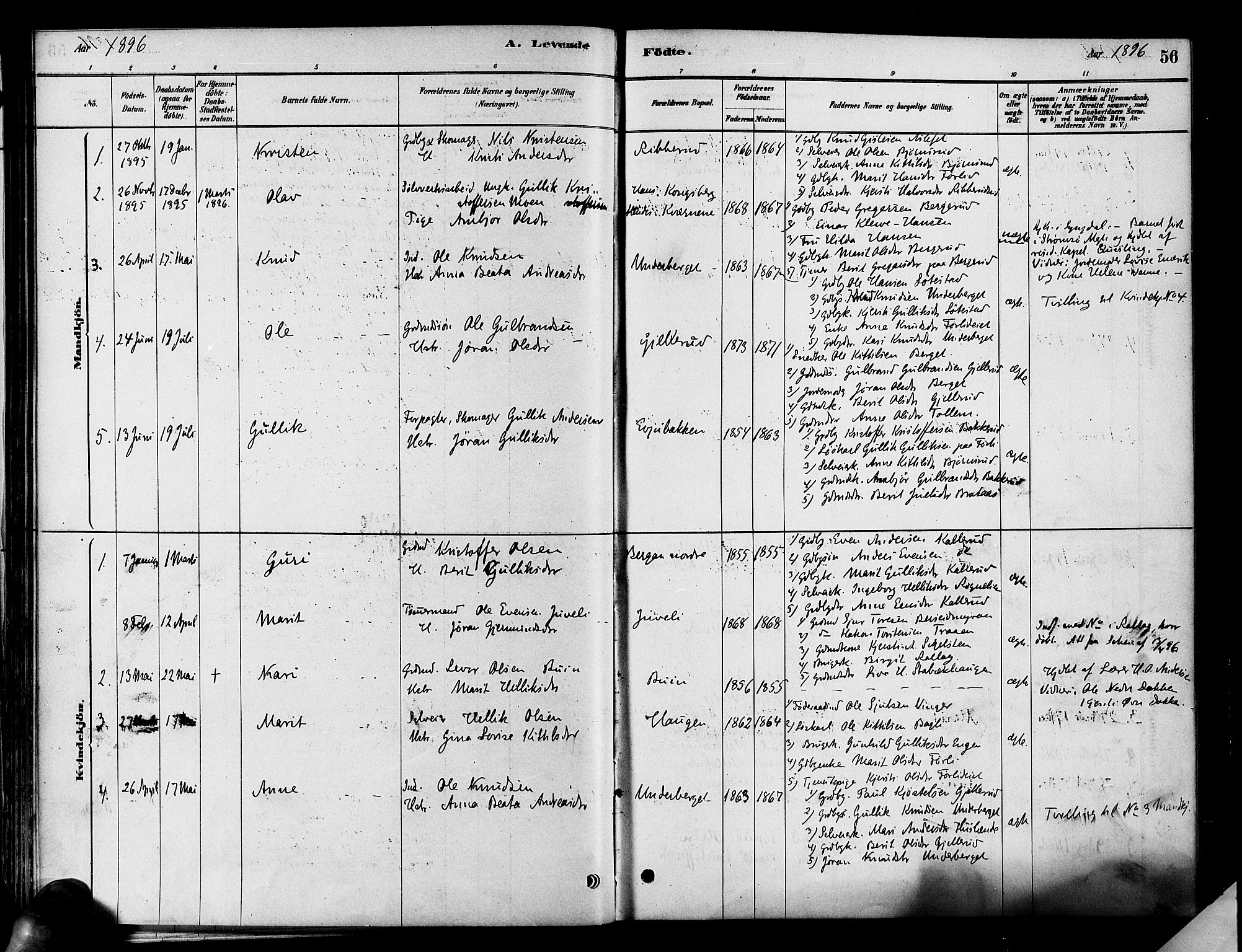 Flesberg kirkebøker, AV/SAKO-A-18/F/Fa/L0008: Parish register (official) no. I 8, 1879-1899, p. 56