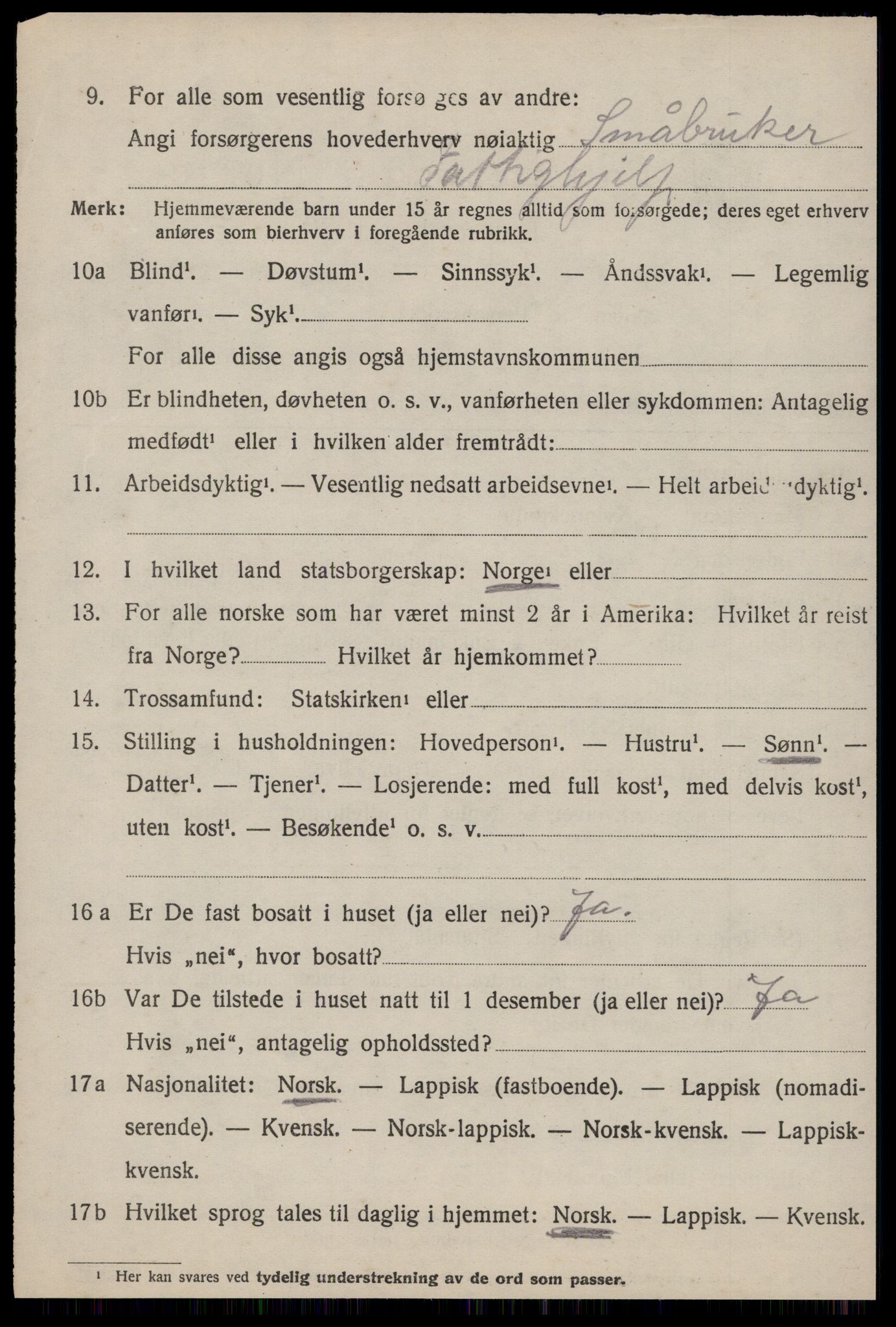 SAT, 1920 census for Ålen, 1920, p. 4069