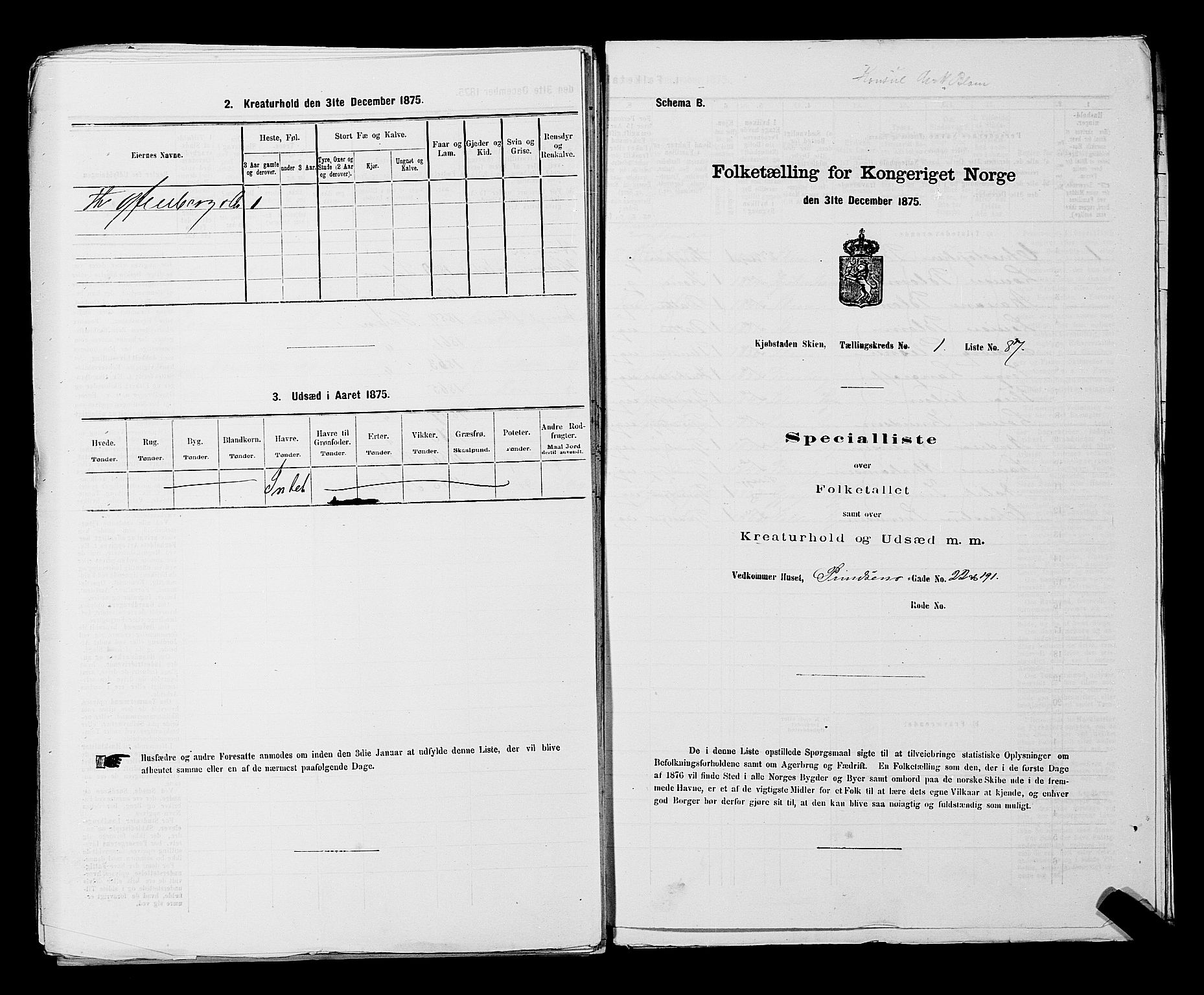 SAKO, 1875 census for 0806P Skien, 1875, p. 213