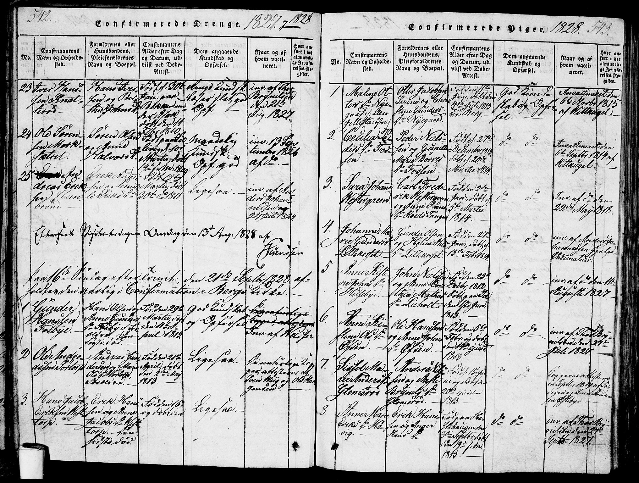 Berg prestekontor Kirkebøker, SAO/A-10902/G/Ga/L0001: Parish register (copy) no. I 1, 1815-1832, p. 542-543