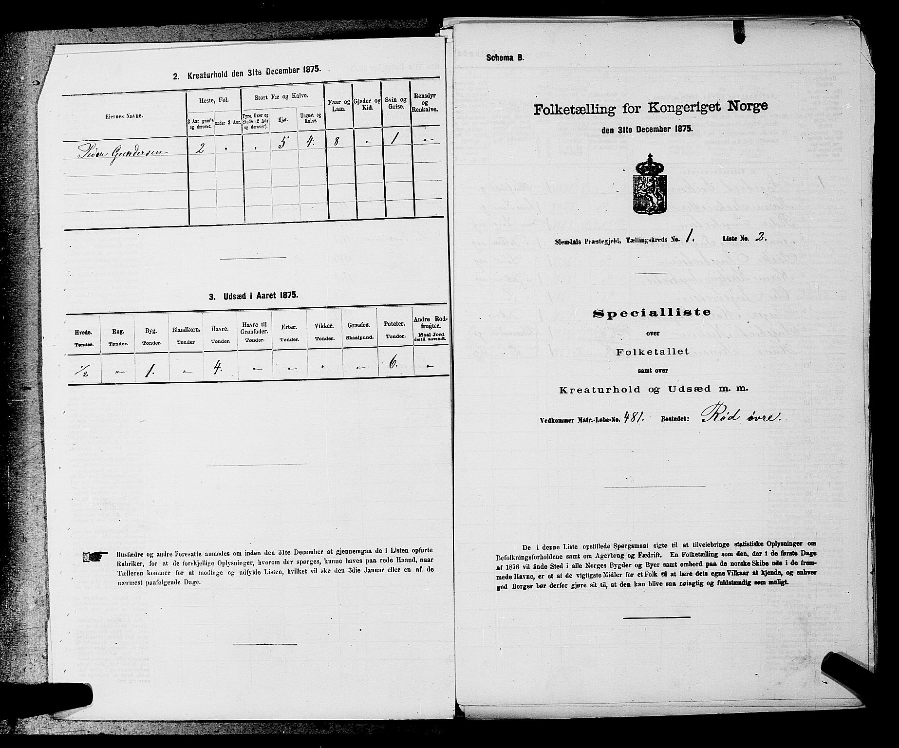 SAKO, 1875 census for 0811P Slemdal, 1875, p. 20