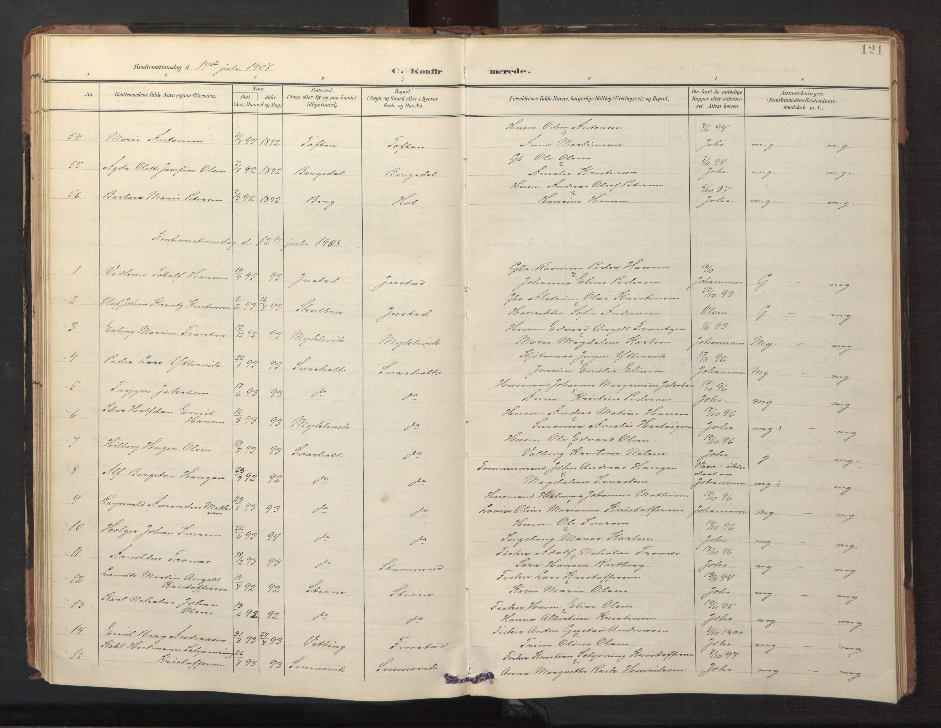 Ministerialprotokoller, klokkerbøker og fødselsregistre - Nordland, AV/SAT-A-1459/882/L1185: Parish register (copy) no. 882C03, 1898-1910, p. 121