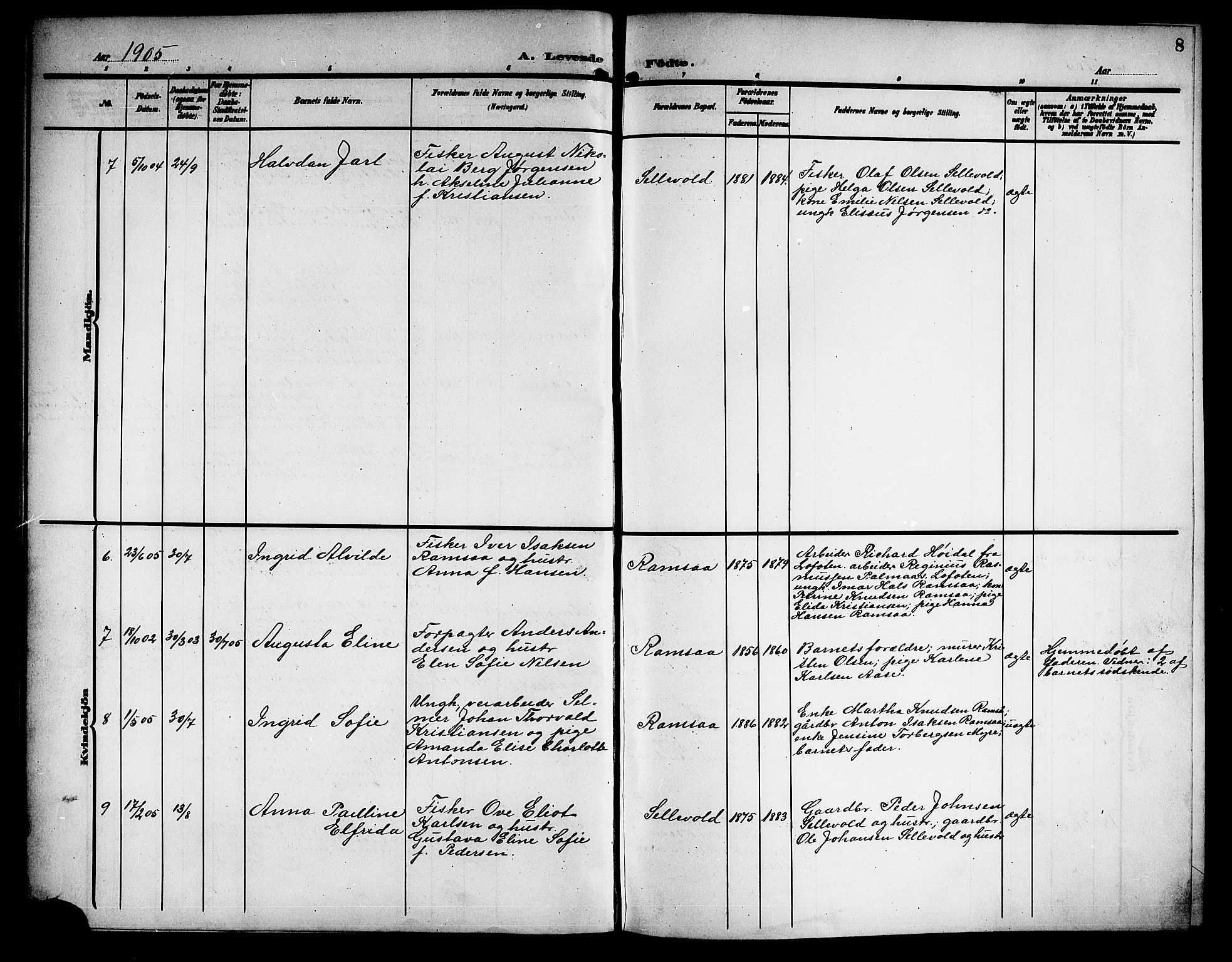 Ministerialprotokoller, klokkerbøker og fødselsregistre - Nordland, AV/SAT-A-1459/897/L1414: Parish register (copy) no. 897C04, 1904-1915, p. 8