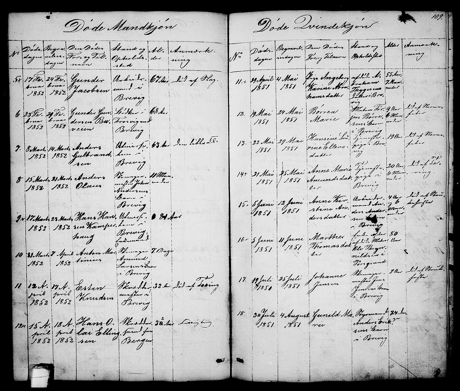 Brevik kirkebøker, SAKO/A-255/G/Ga/L0002: Parish register (copy) no. 2, 1846-1865, p. 109
