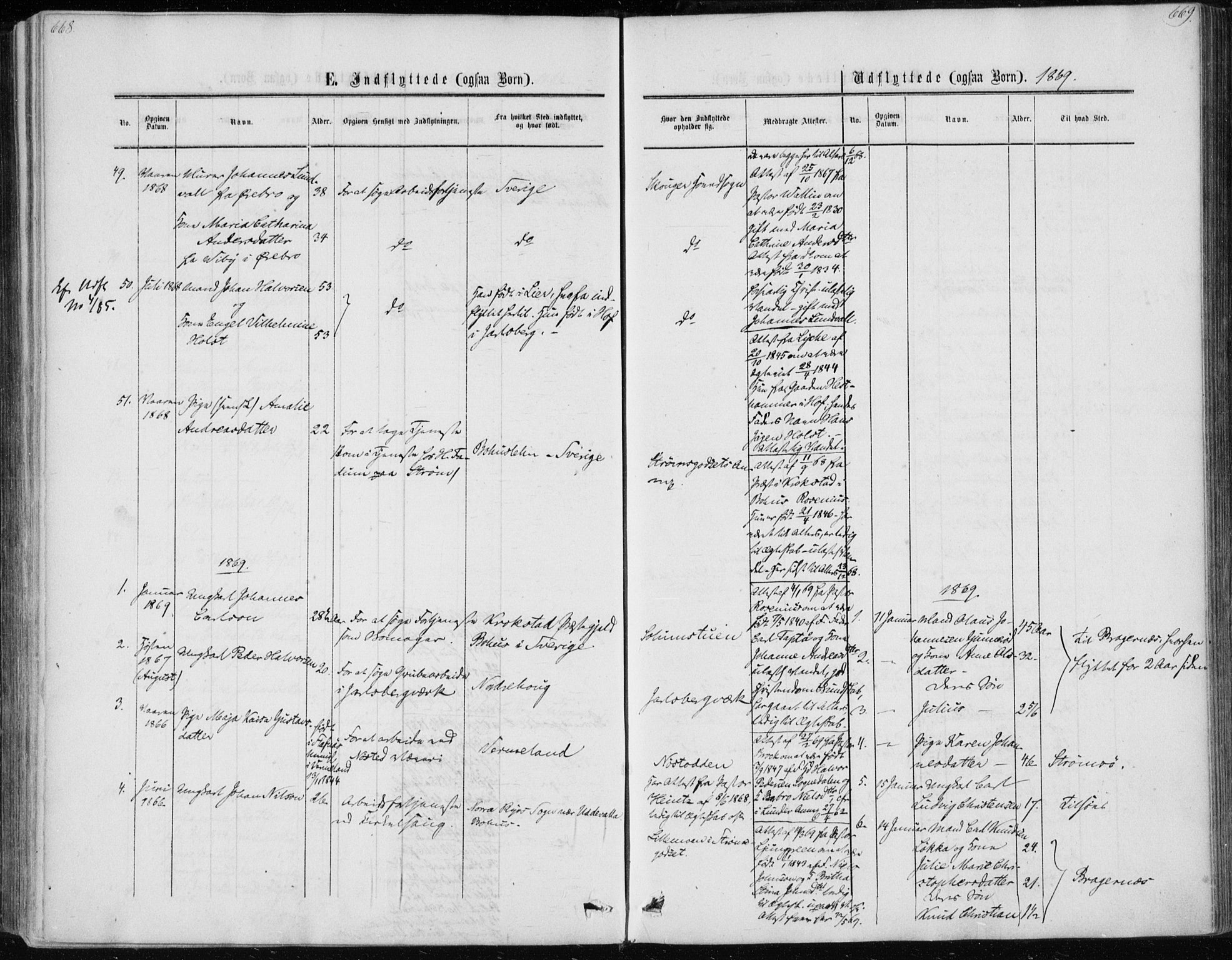 Skoger kirkebøker, AV/SAKO-A-59/F/Fa/L0004: Parish register (official) no. I 4, 1862-1872, p. 668-669