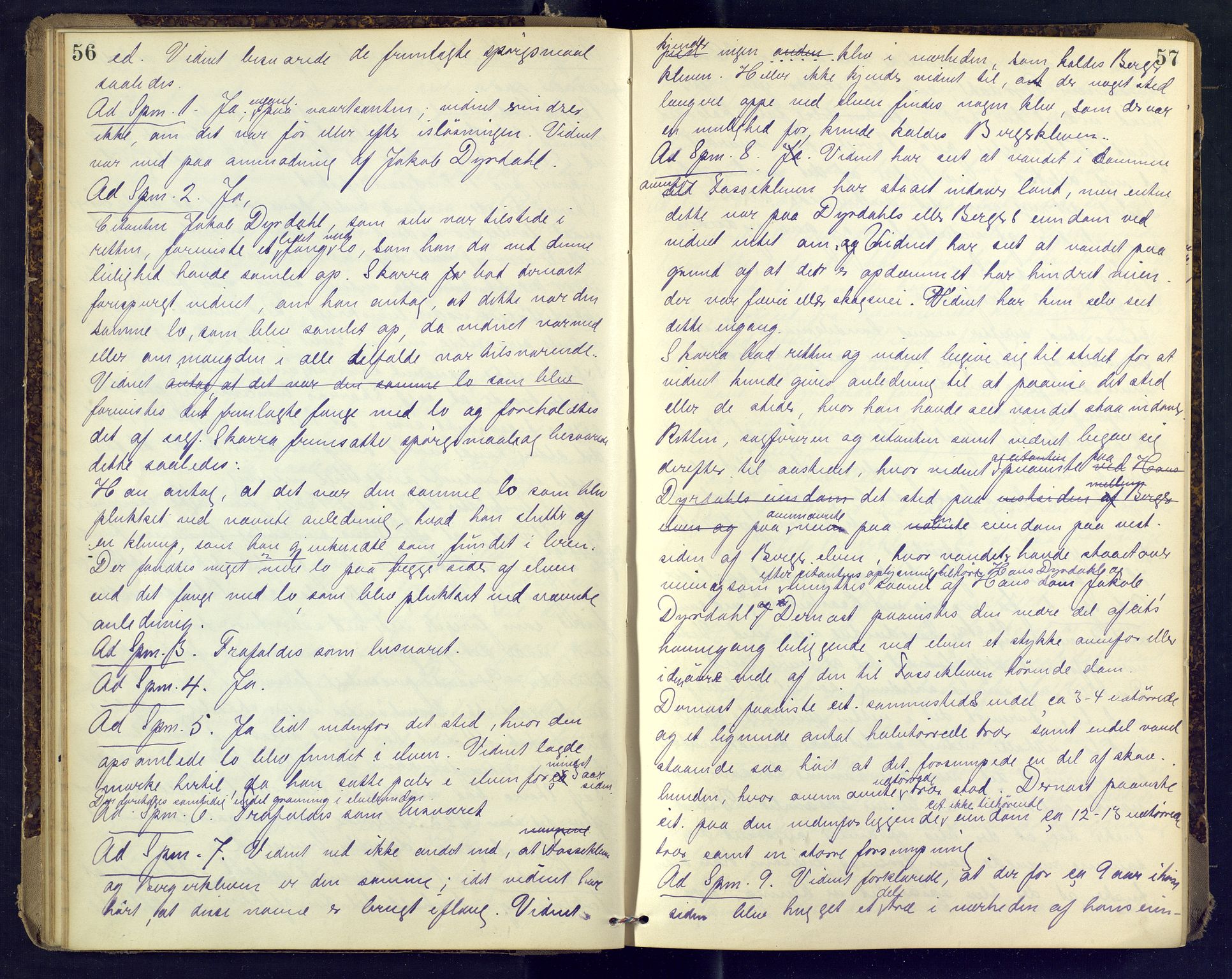 Nordre Jarlsberg sorenskriveri, AV/SAKO-A-80/F/Fb/Fba/L0030: Ekstrarettsprotokoll, 1899-1904, p. 56-57