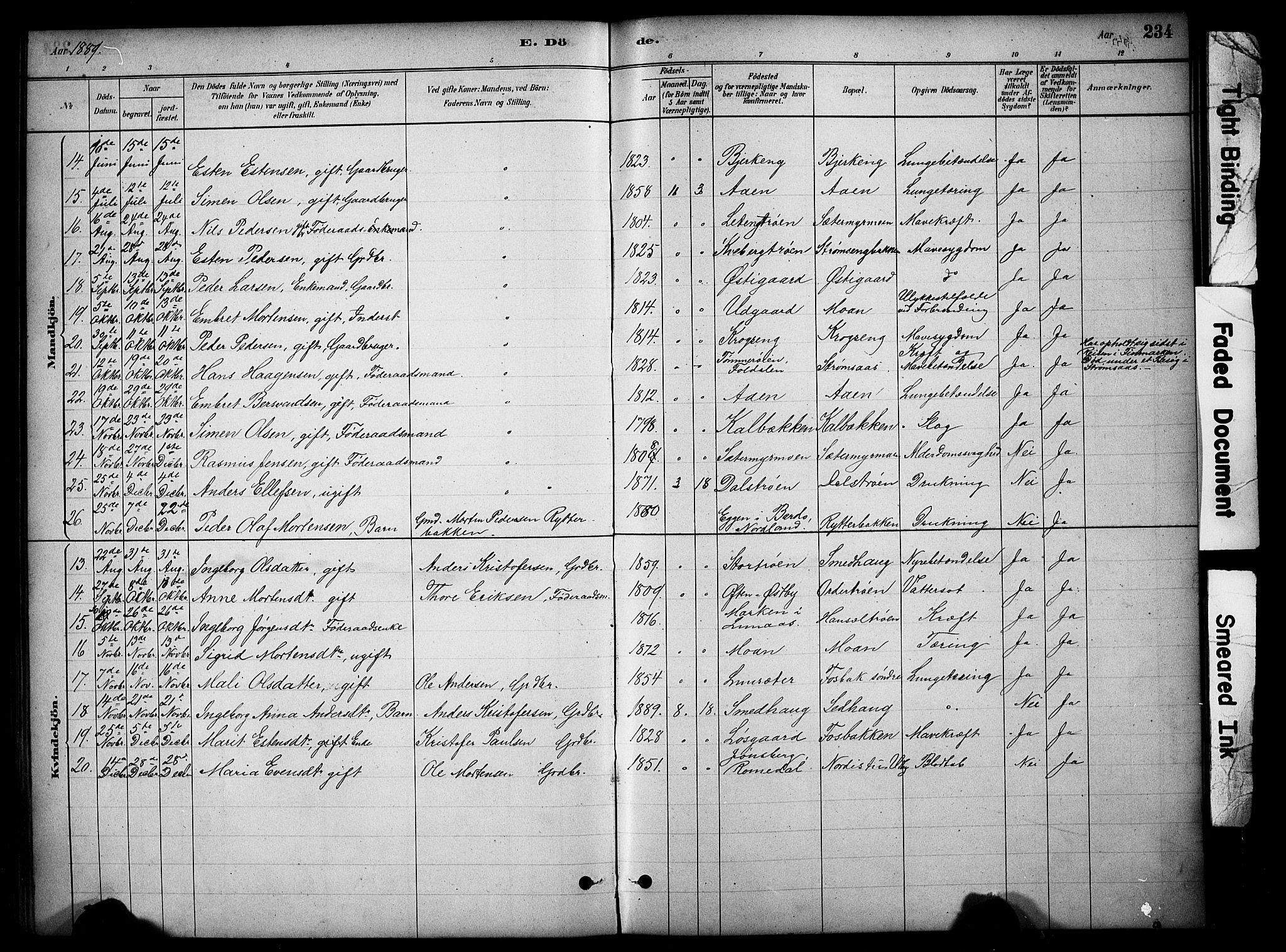 Tynset prestekontor, SAH/PREST-058/H/Ha/Hab/L0006: Parish register (copy) no. 6, 1880-1899, p. 234