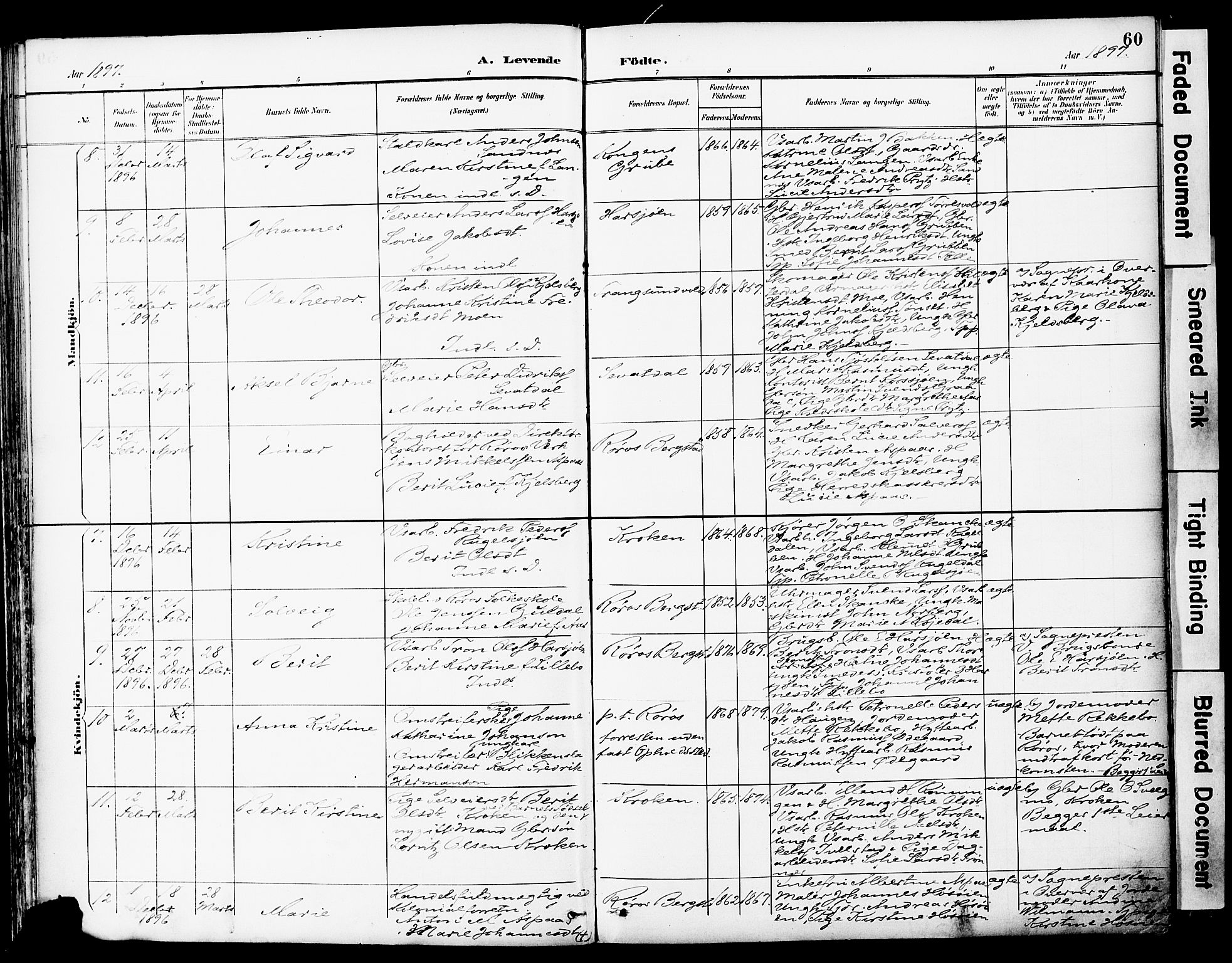 Ministerialprotokoller, klokkerbøker og fødselsregistre - Sør-Trøndelag, SAT/A-1456/681/L0935: Parish register (official) no. 681A13, 1890-1898, p. 60