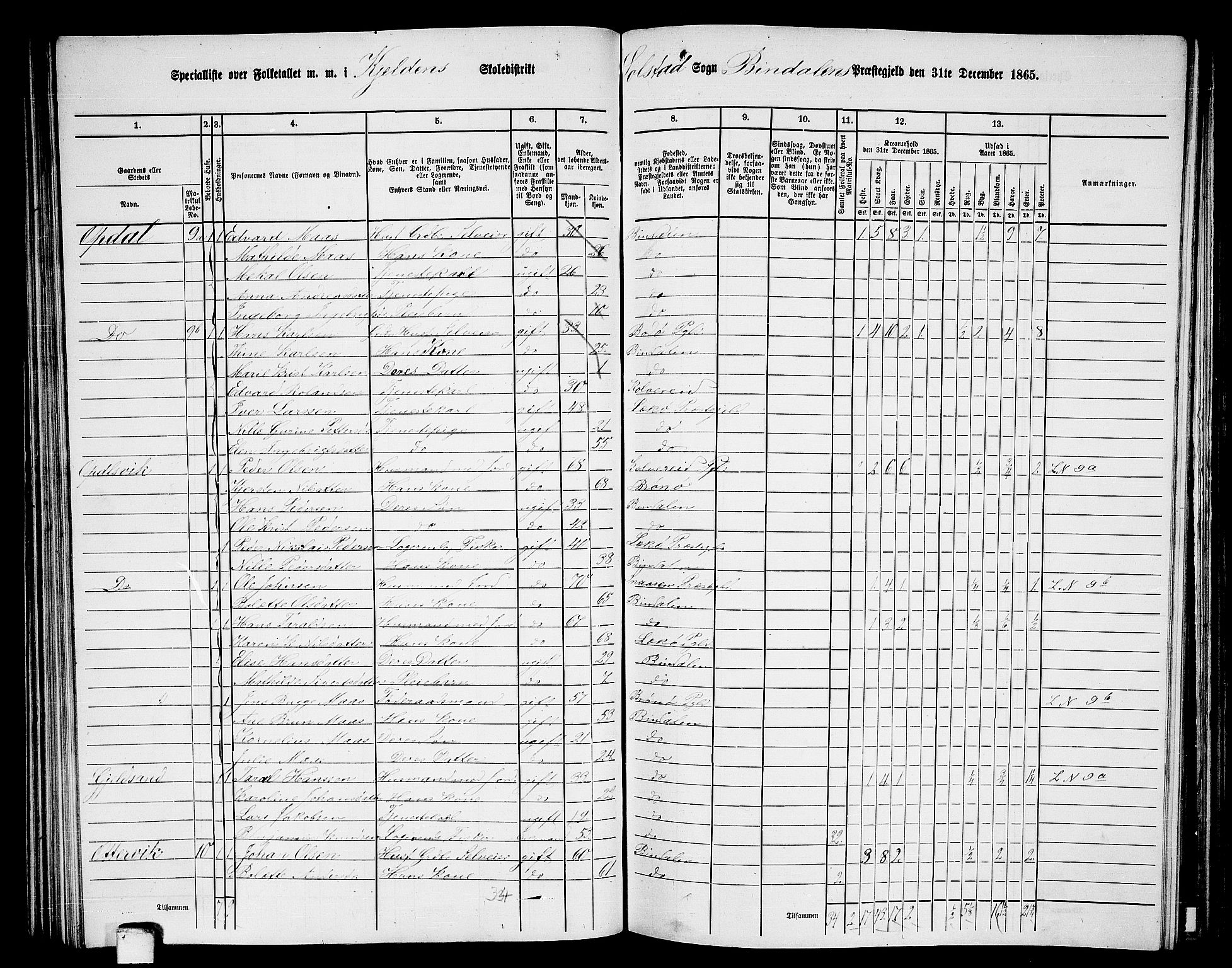 RA, 1865 census for Bindal, 1865, p. 61